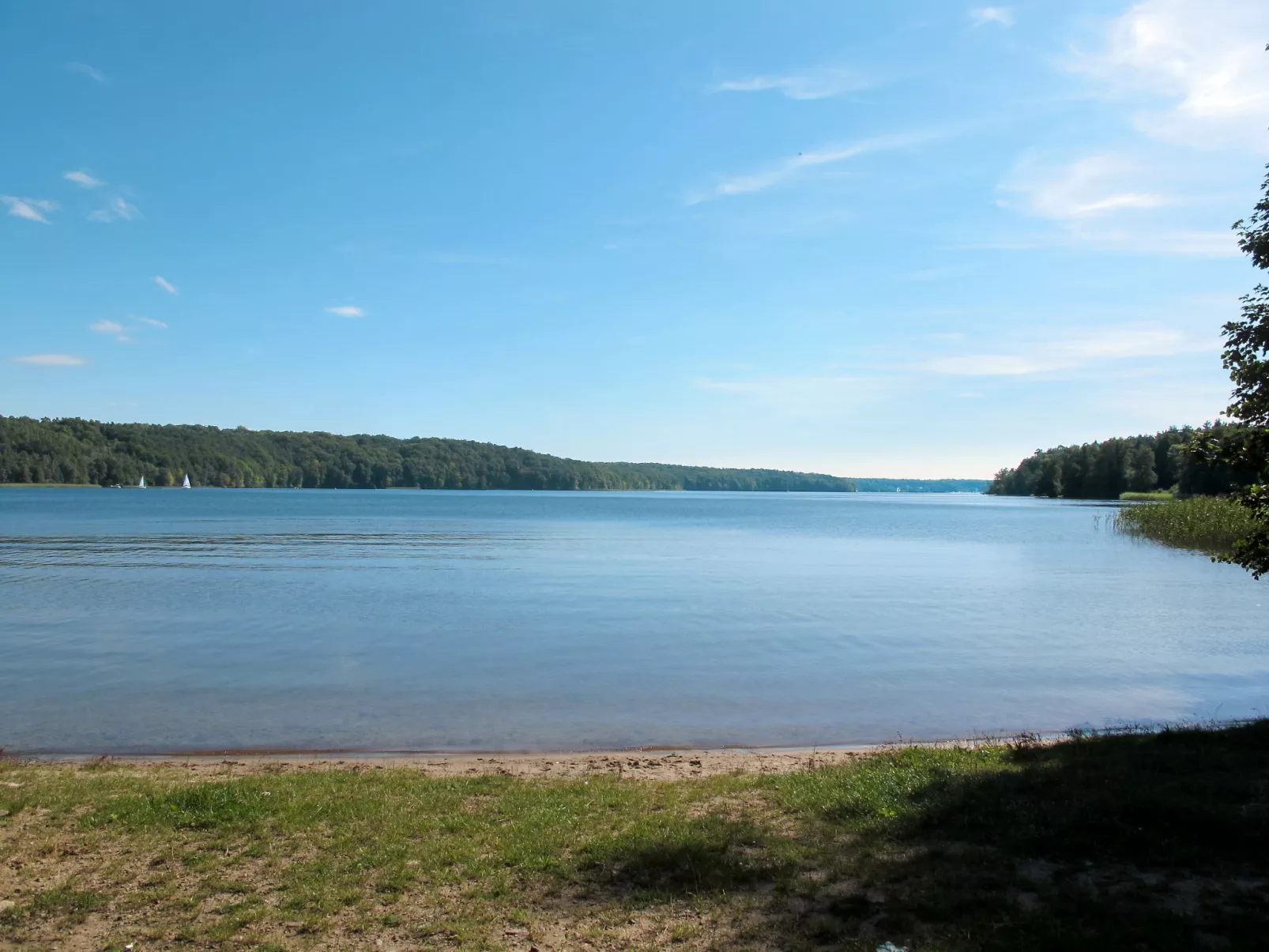Direkt am Werbellinsee-Omgeving