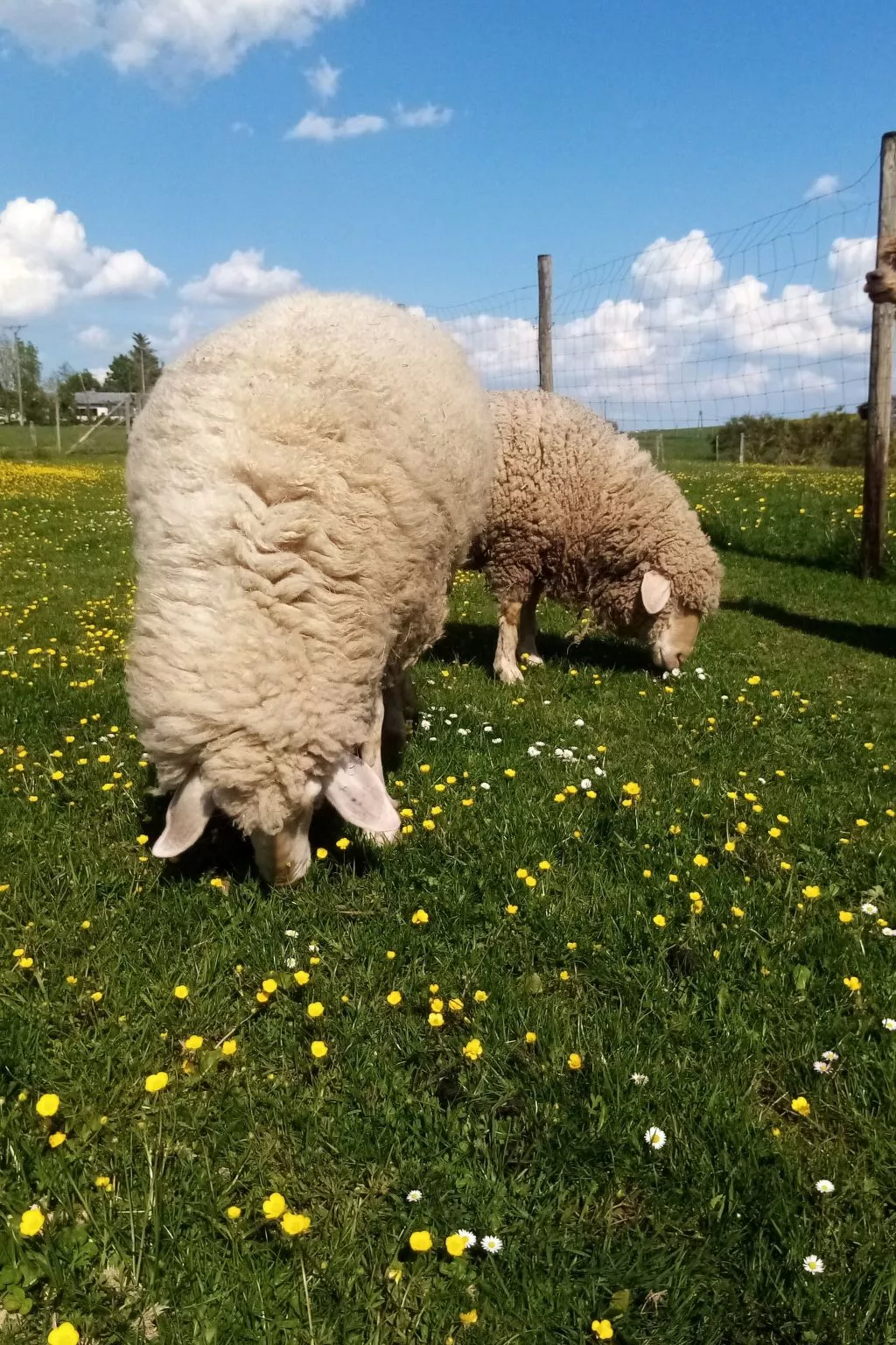 Herzfennerhof Loft-Image-tags.info