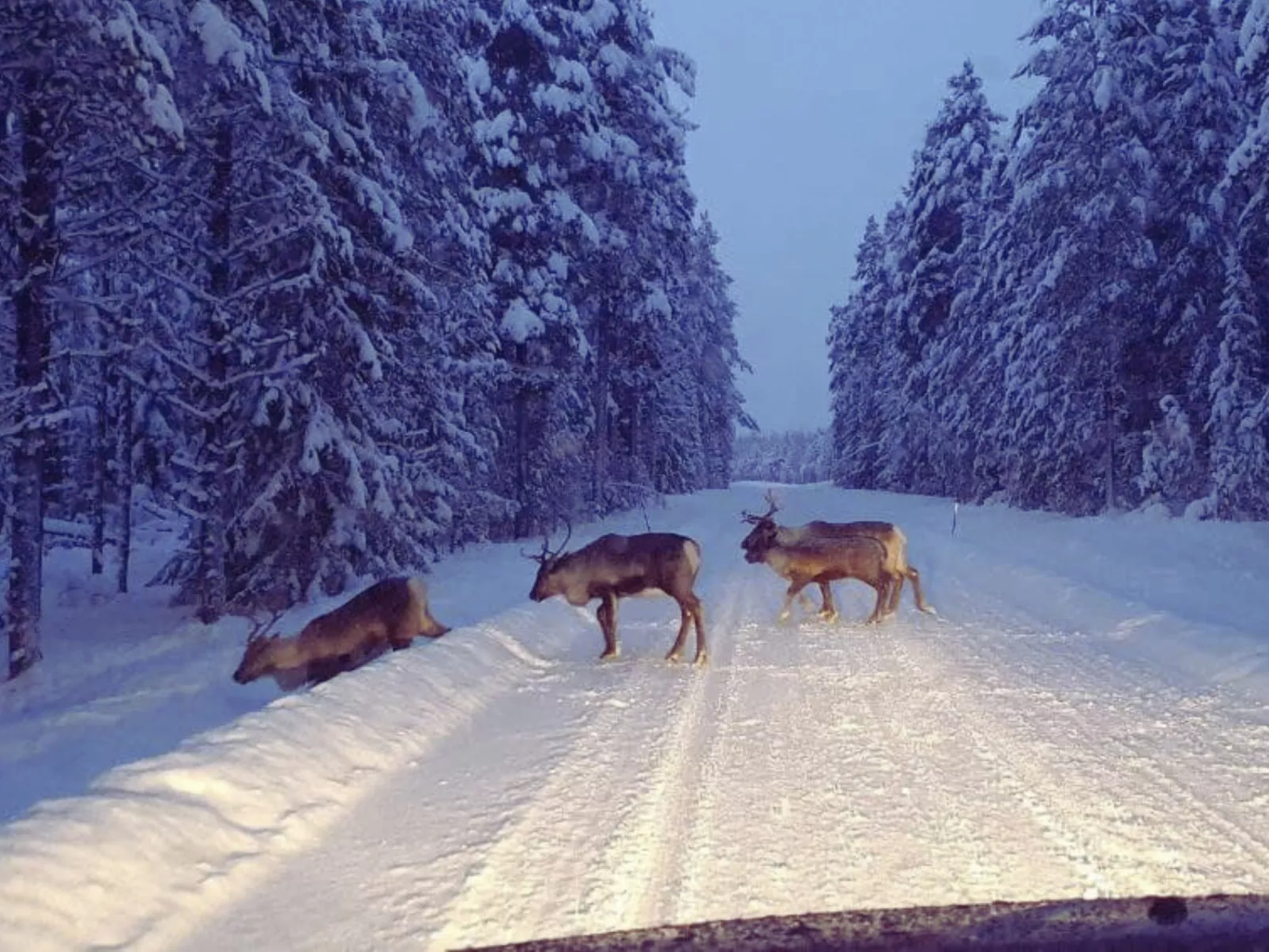 Gemütliches Ferienhaus Angermanland - höga Kusten-Image-tags.info
