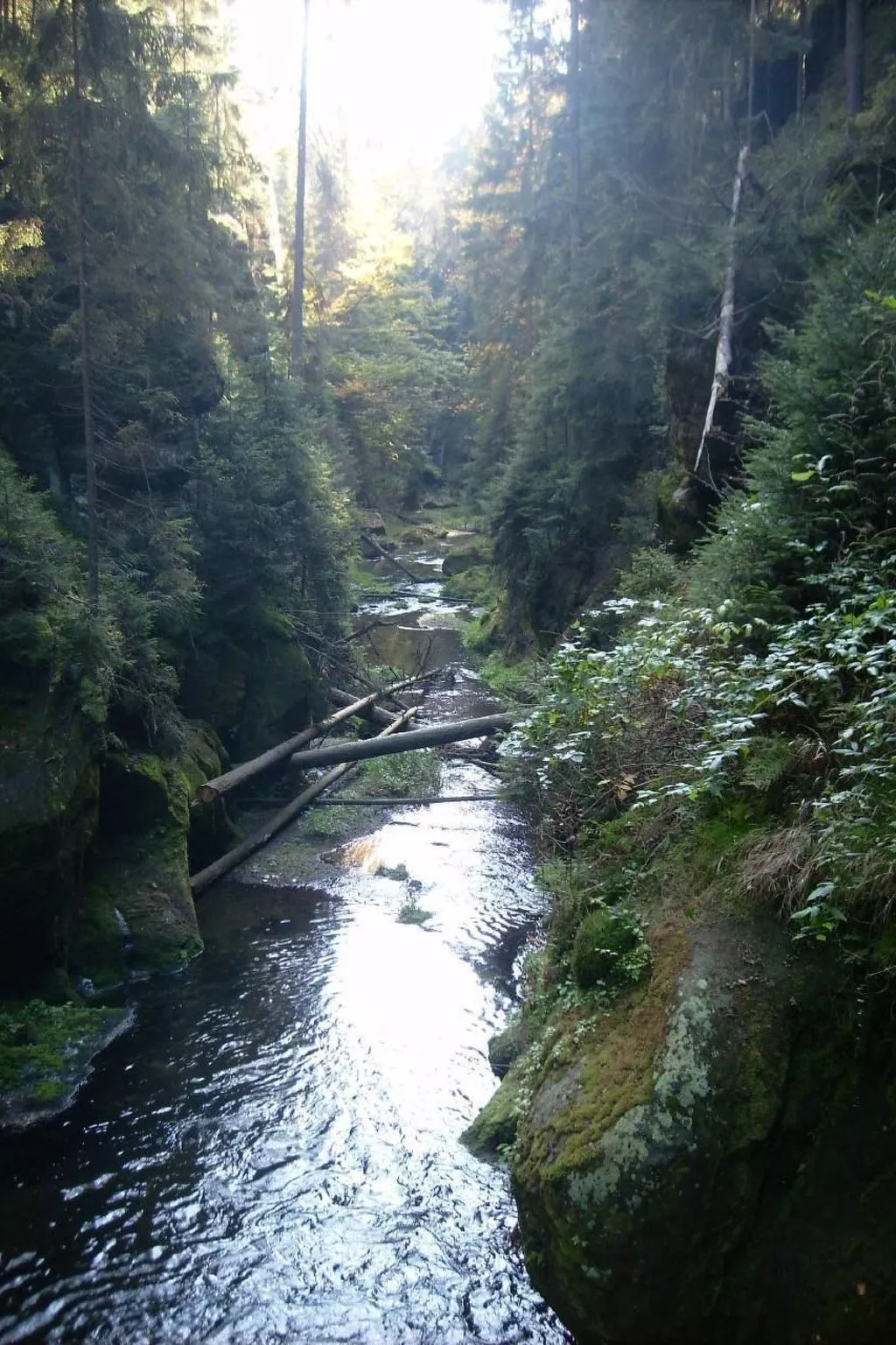 Ferienwohznung Huhle