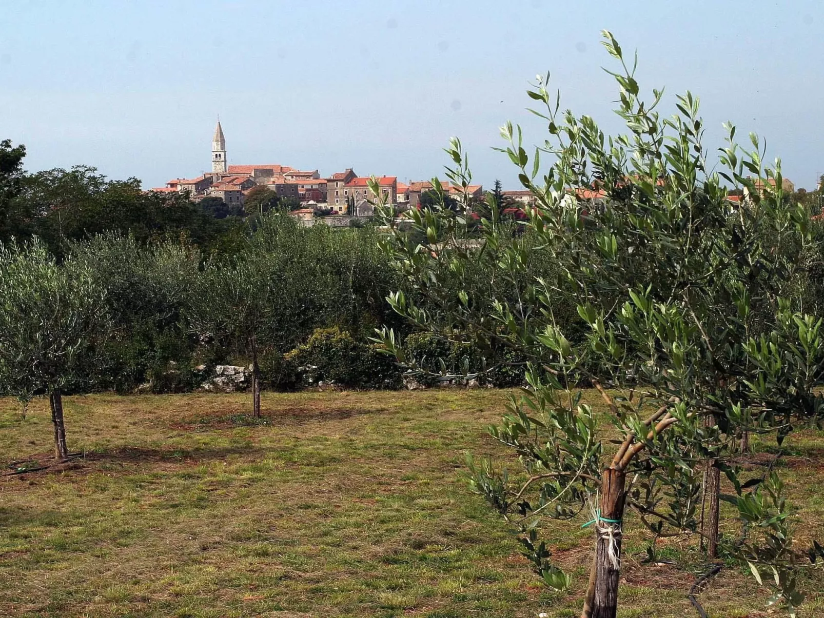 Ferienvilla mit Garten, Grill und Terrasse-Buiten