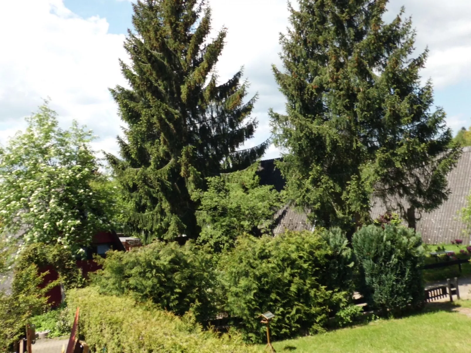 Nur-Dach-Ferienhaus für vier Personen