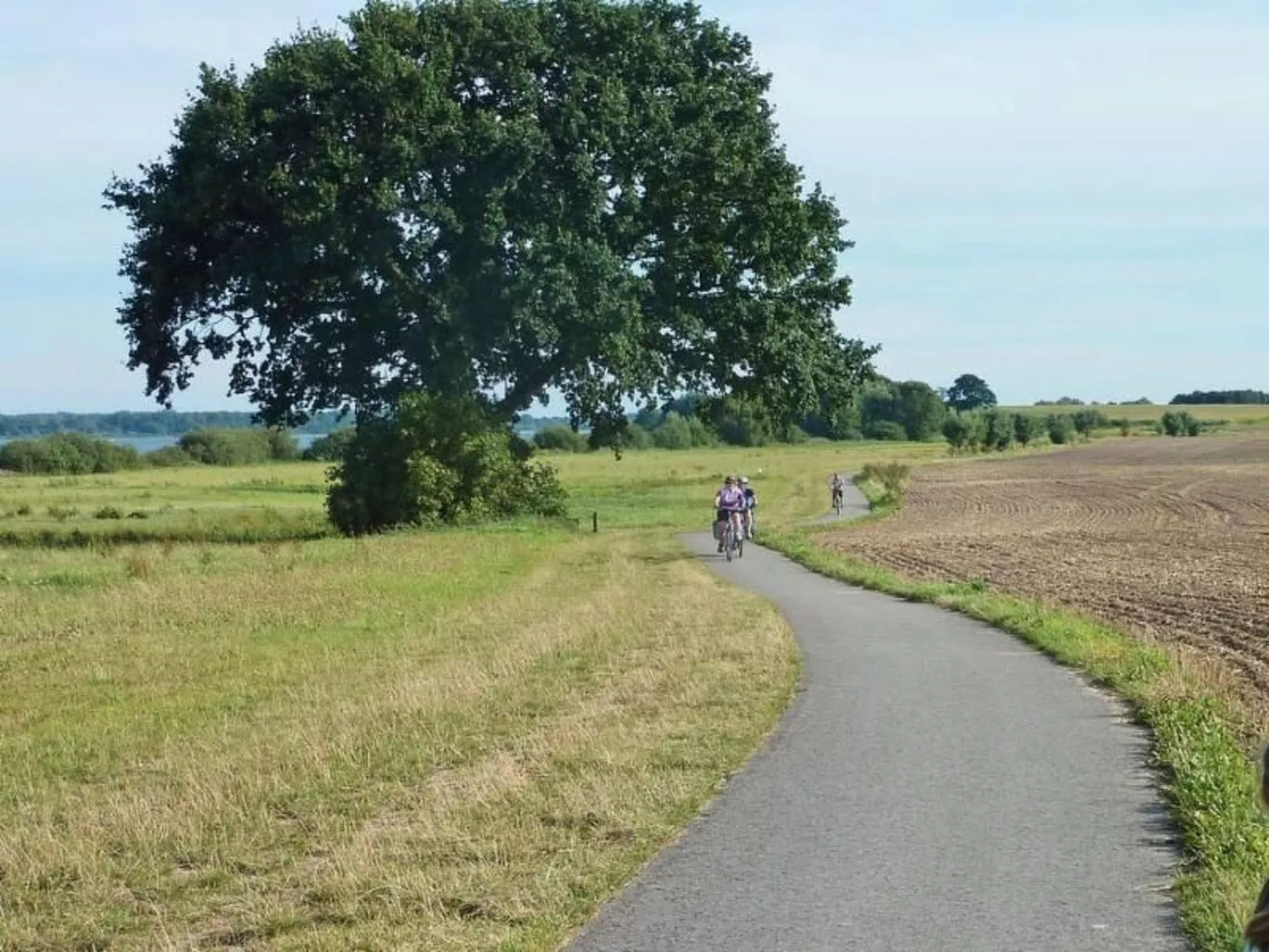 Müritzbrise groß in in Ludorf