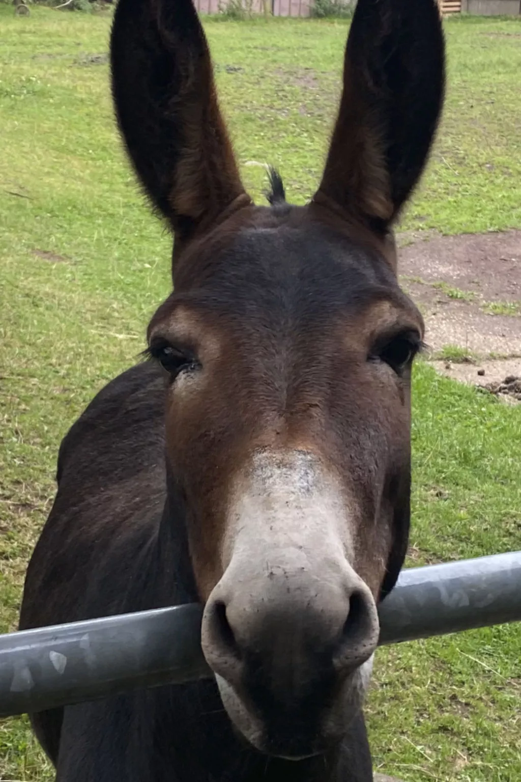 Scheunen Nest-Buiten