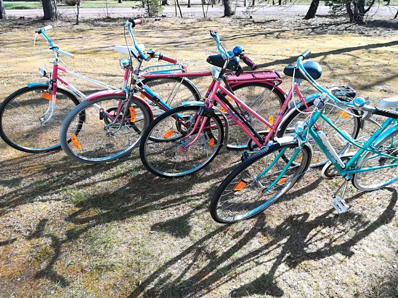 Idyllisches Ferienhaus in ruhiger Lage-Buiten
