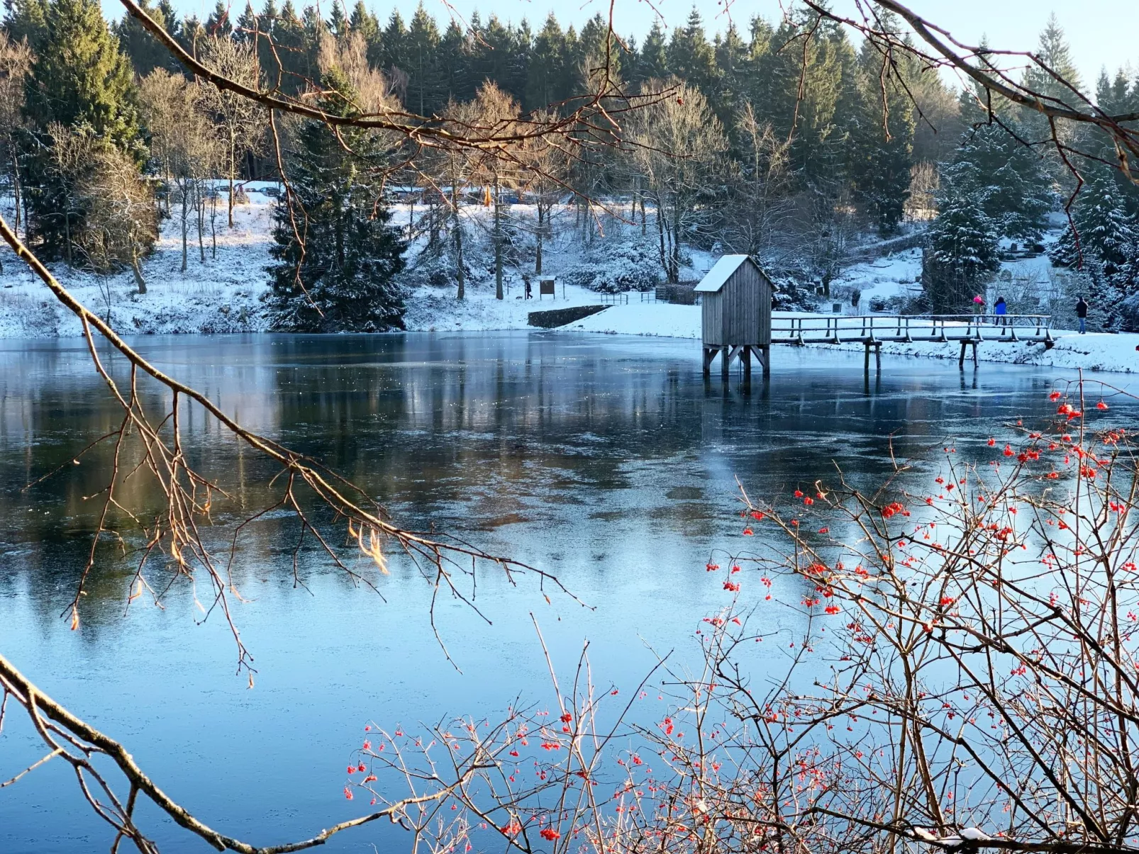 Ferienwohnung mit Infrarotwärmekabine-Buiten