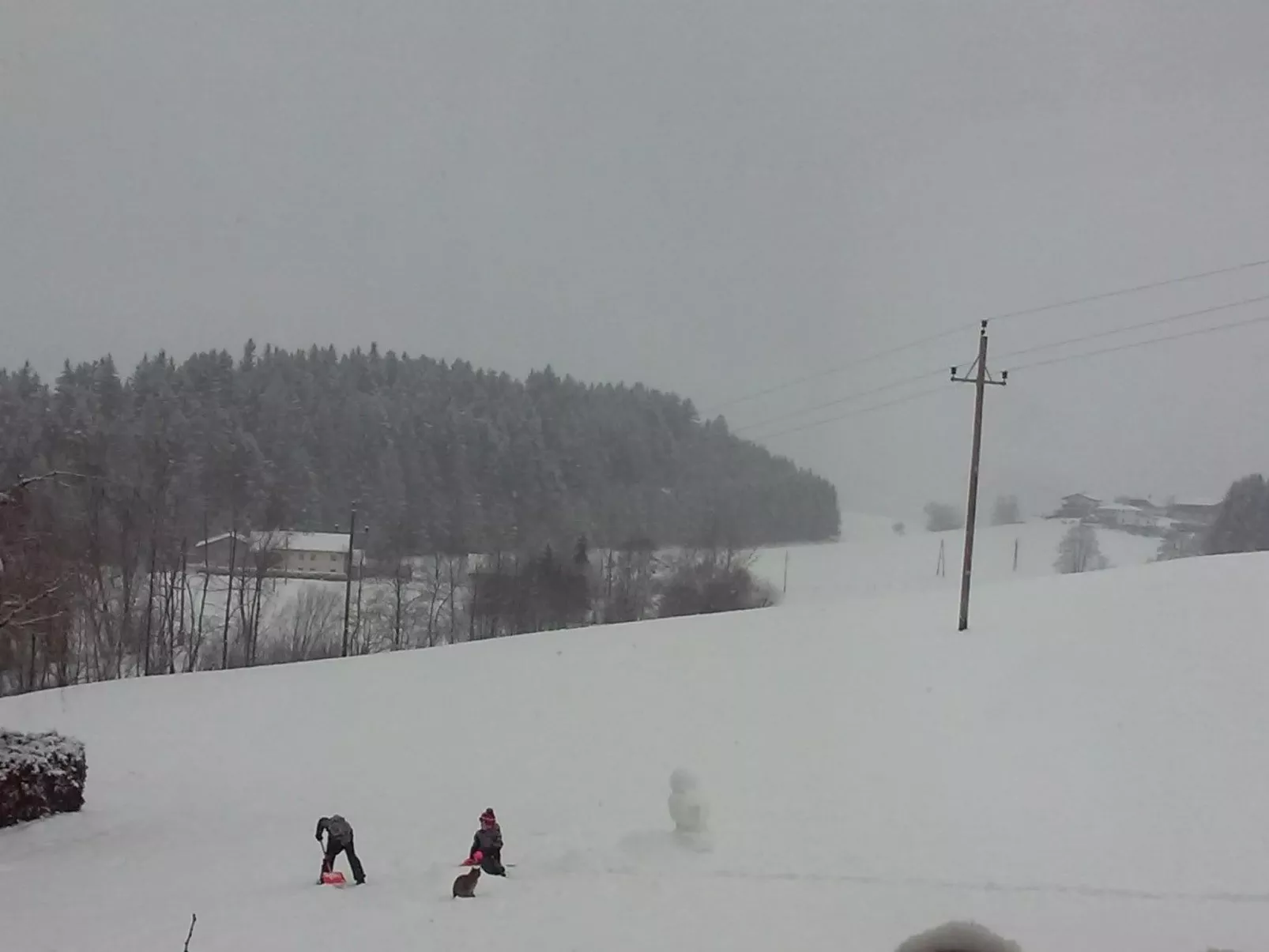 Gsenger Natur in Abtenau