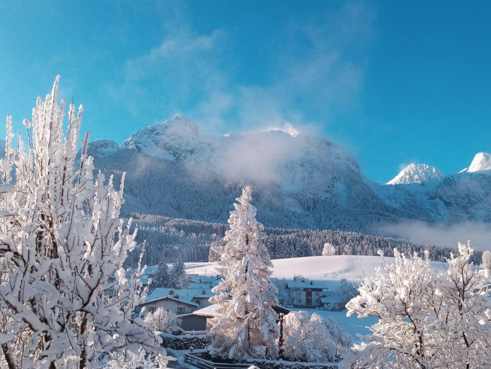 Gsenger in Abtenau-Image-tags.info