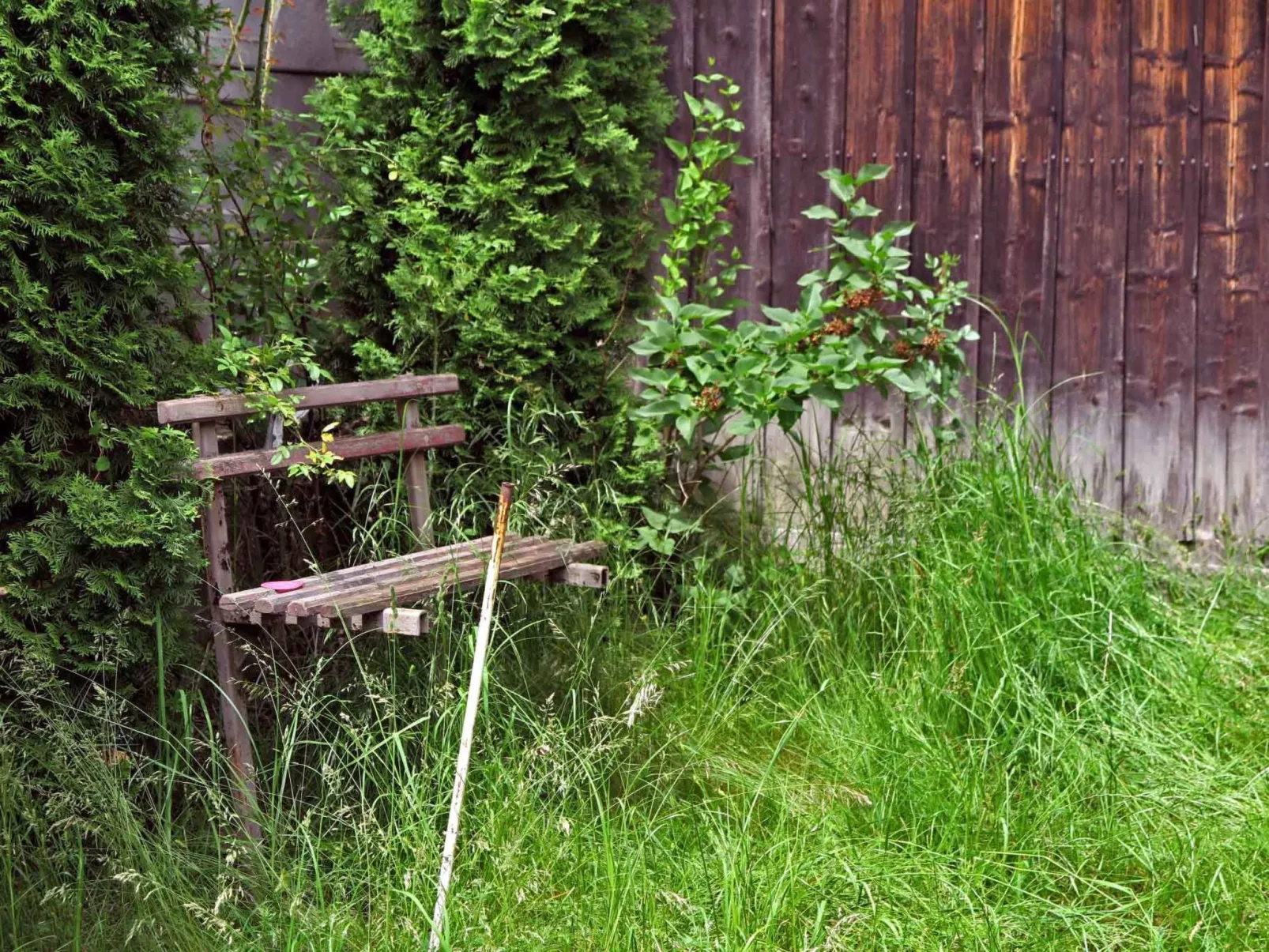 Casa Lopo - renovierter Bauernhof im Hirtendorf-Buiten