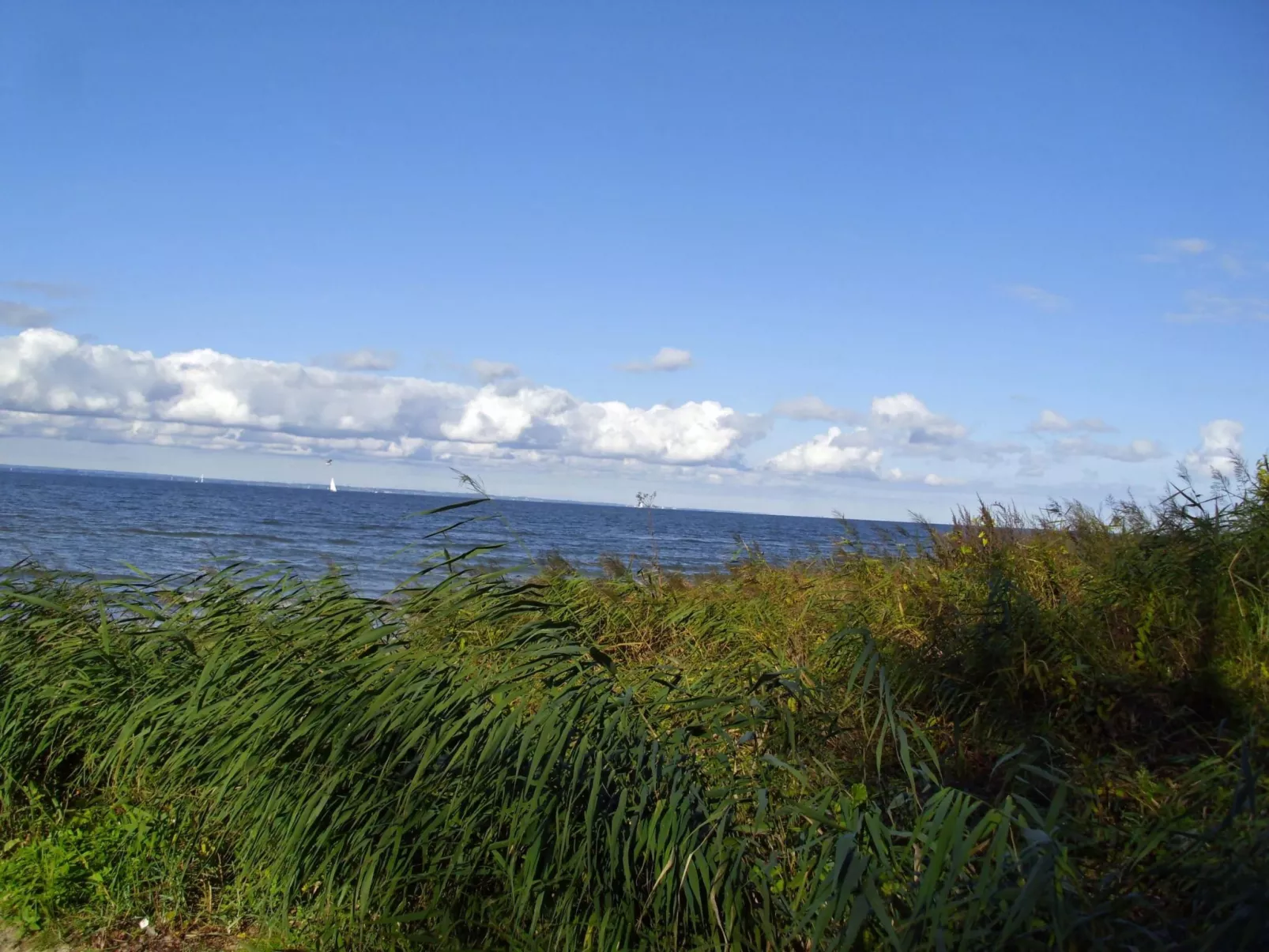 Studio am Rande eines Naturschutzgebietes