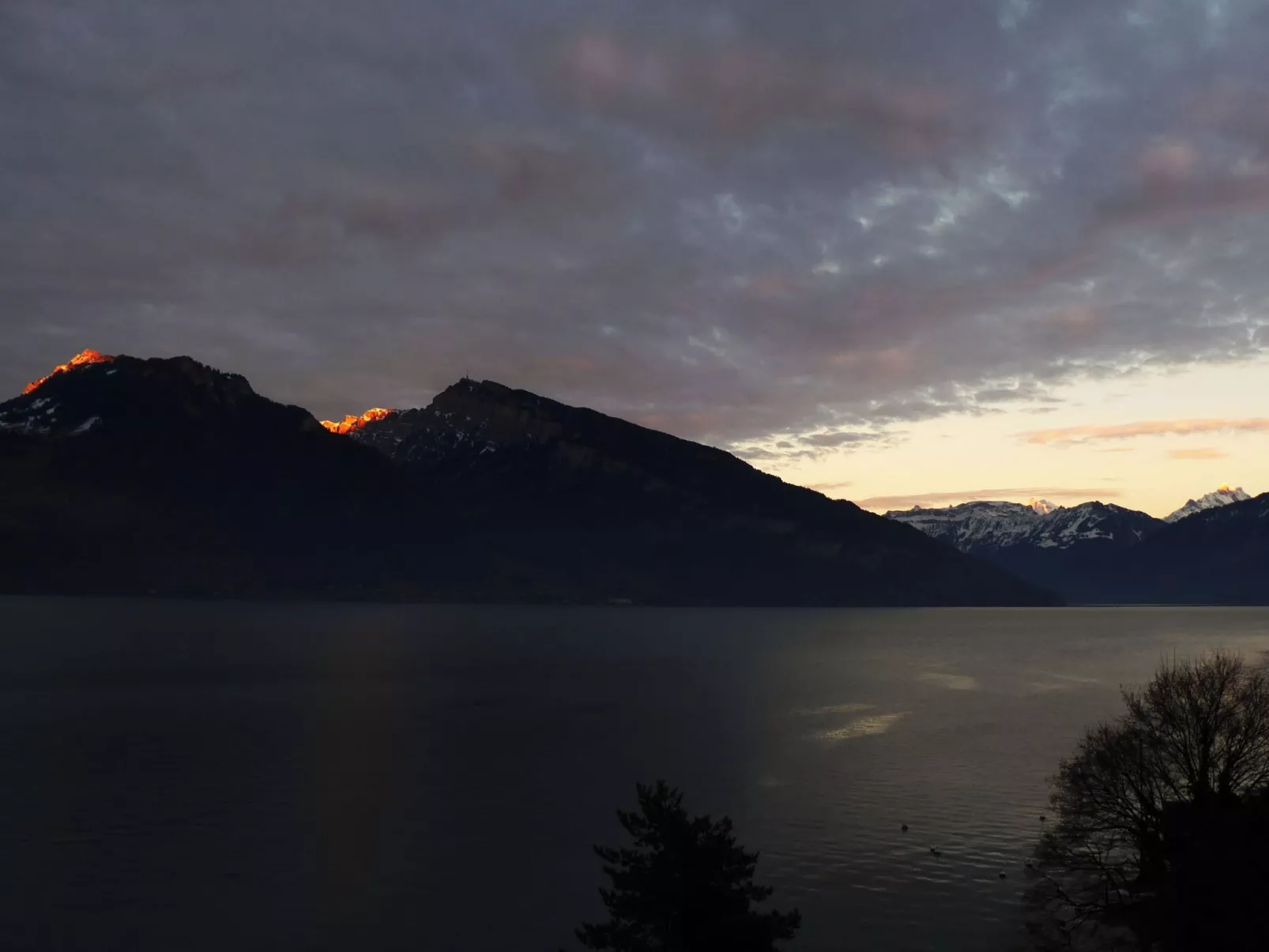 Seepark, direkt am See-Buiten