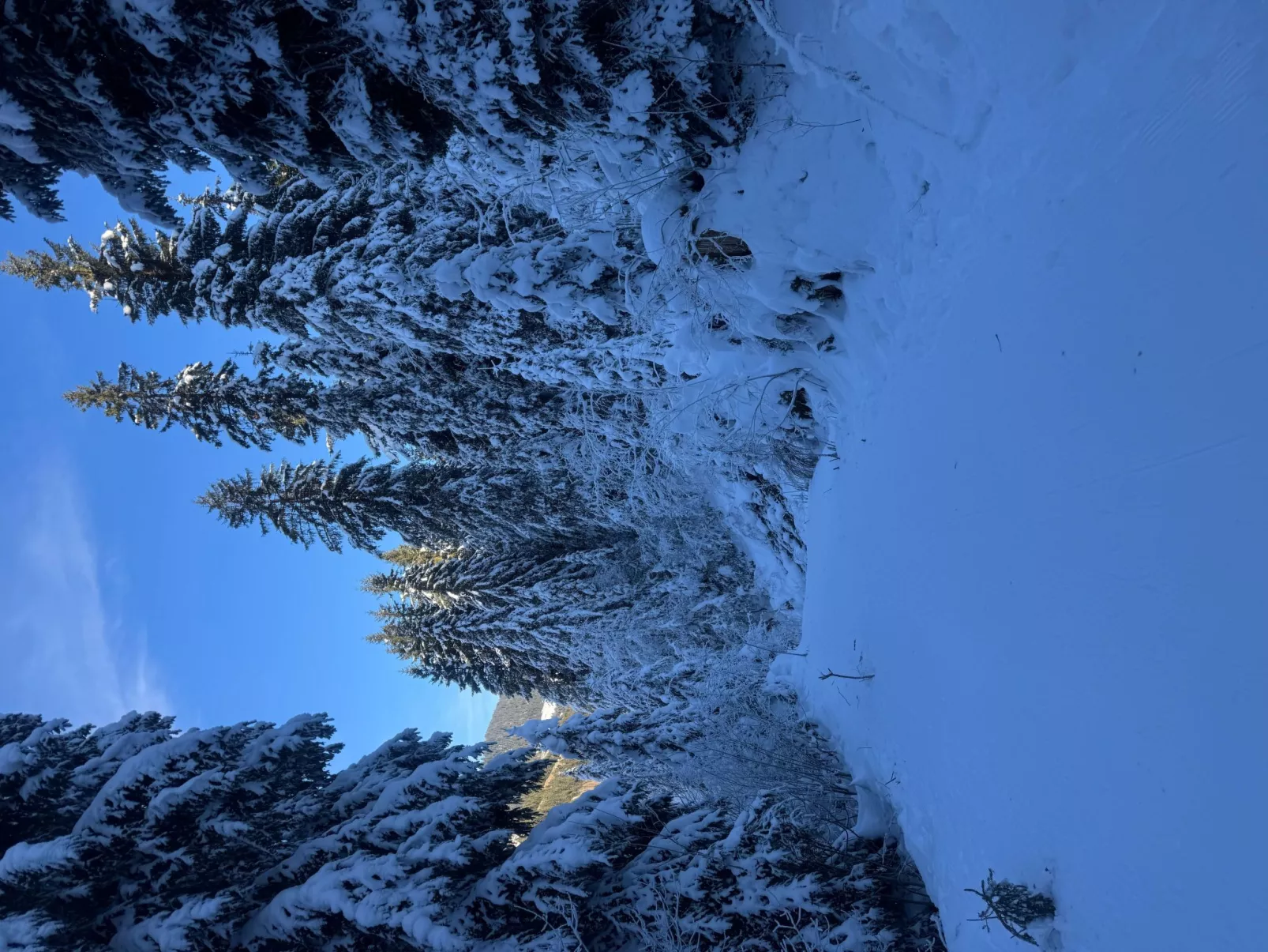 Morgins 6P, Ski-in Ski-out, Parkplatz, zentral, WiFI-Image-tags.info