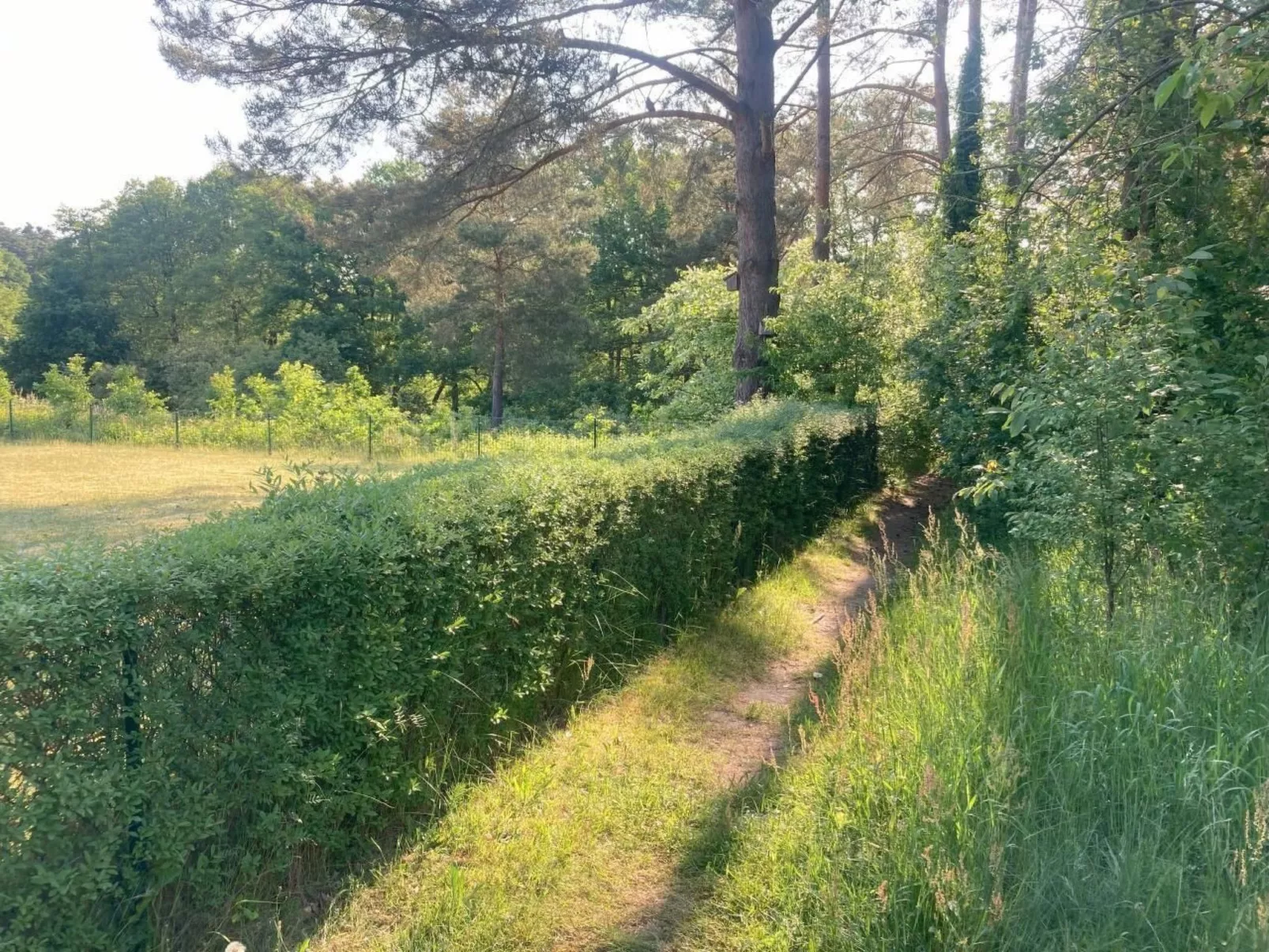 Bungalow Mecklenburgische Seenplatte-Buiten