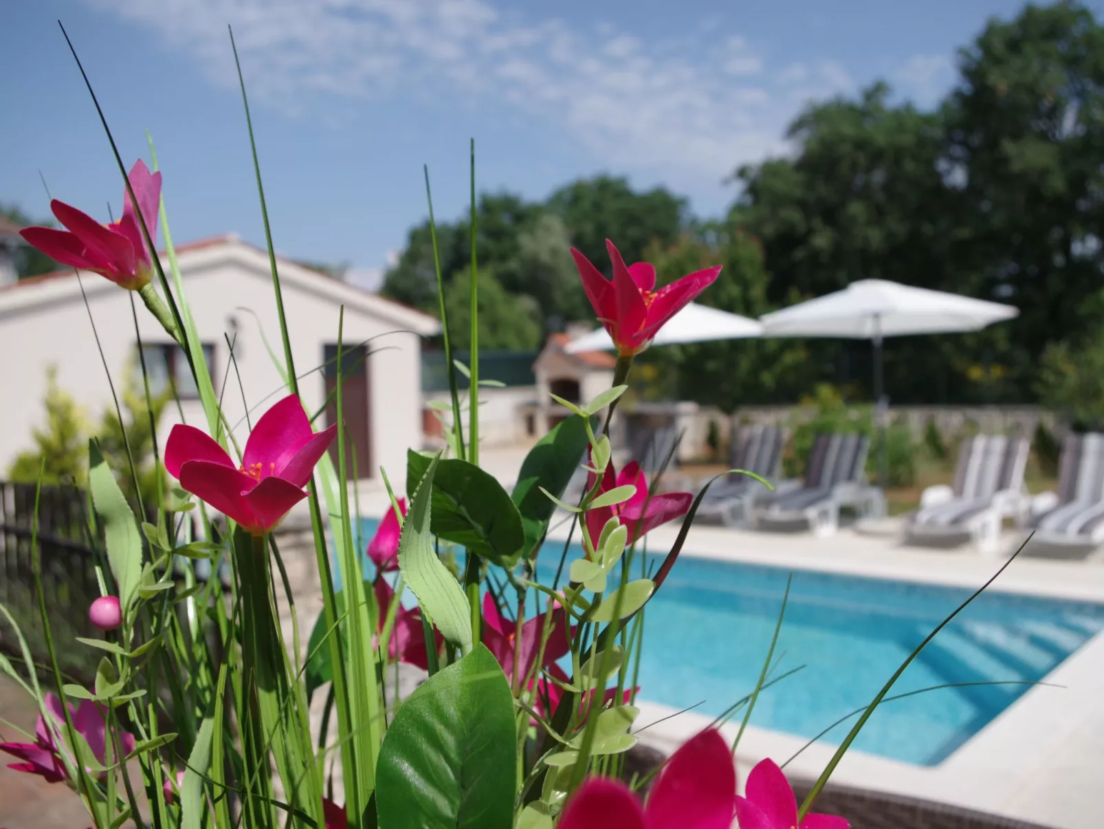 Geräumiges Ferienhaus mit 4 Schlafzimmern und privatem Pool-Buiten