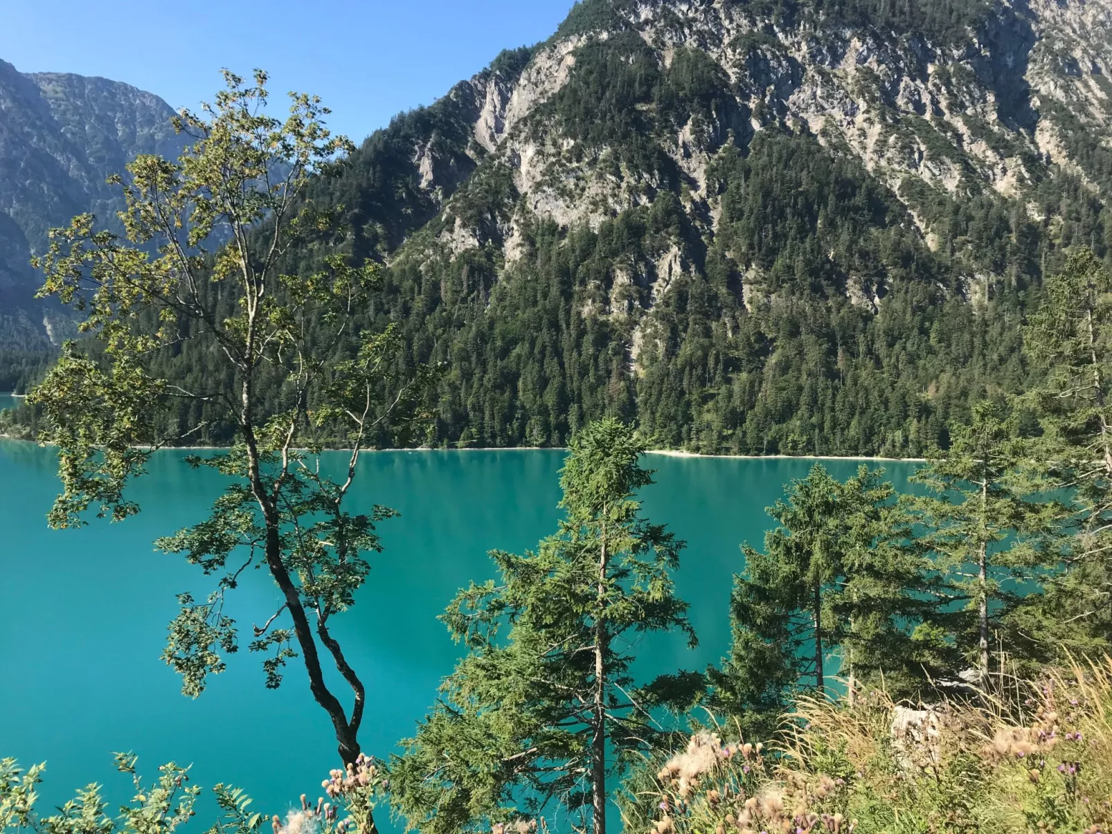 Barbara-Image-tags.info