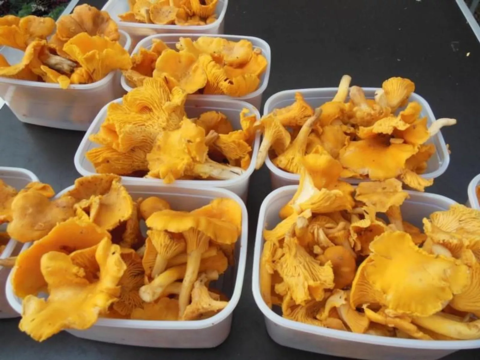 Villa Bullerbü-Binnen