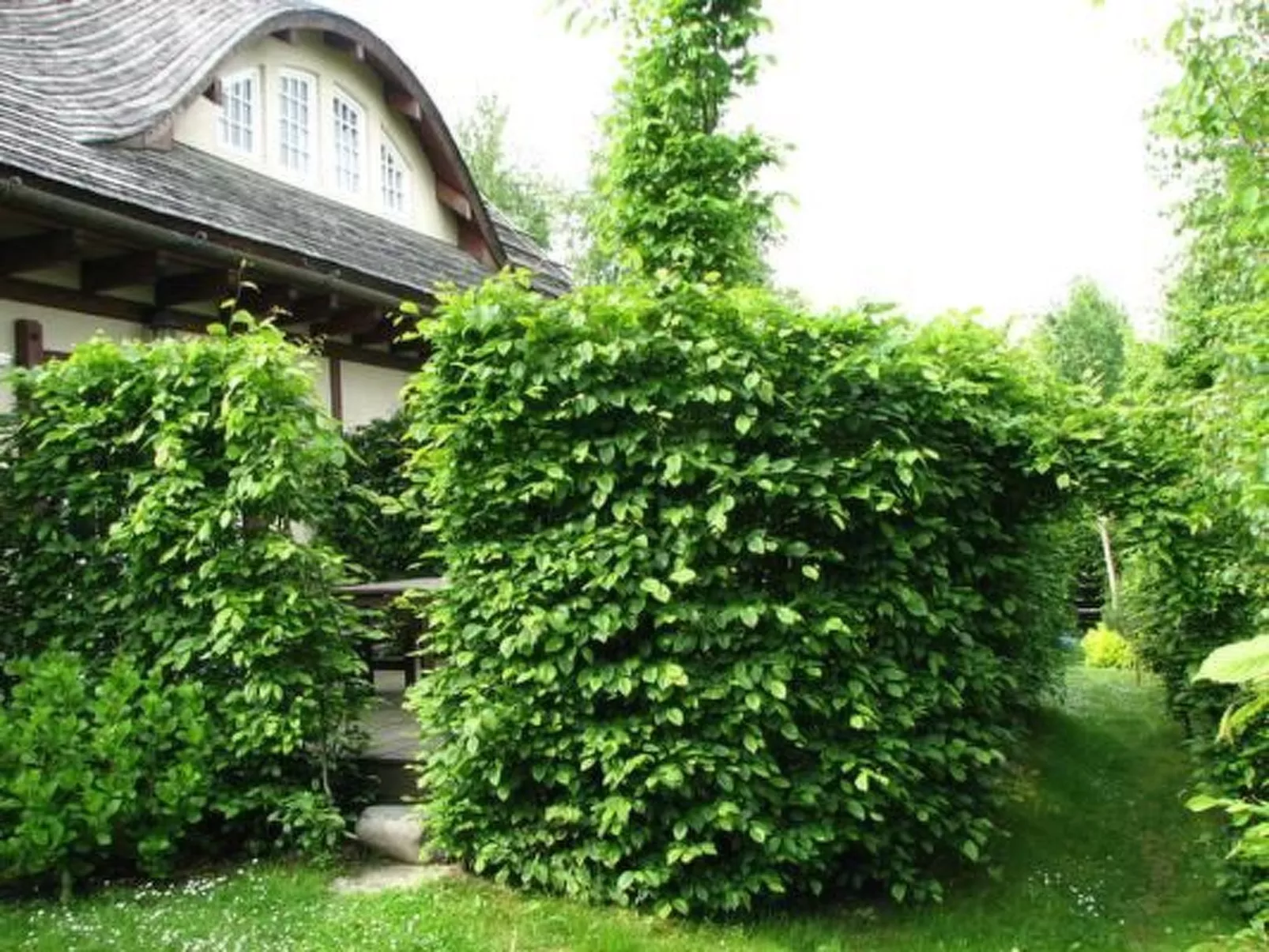 "Sunshine Apartment"