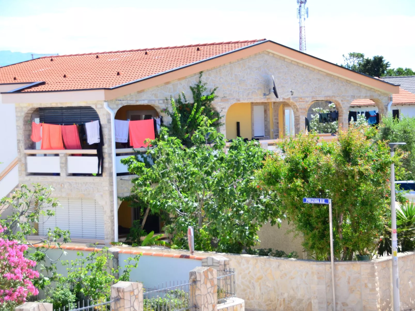 Delfin-Image-tags.info