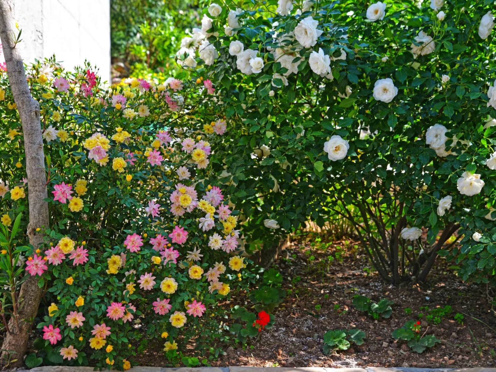 Wohnung Goranka 1-Buiten