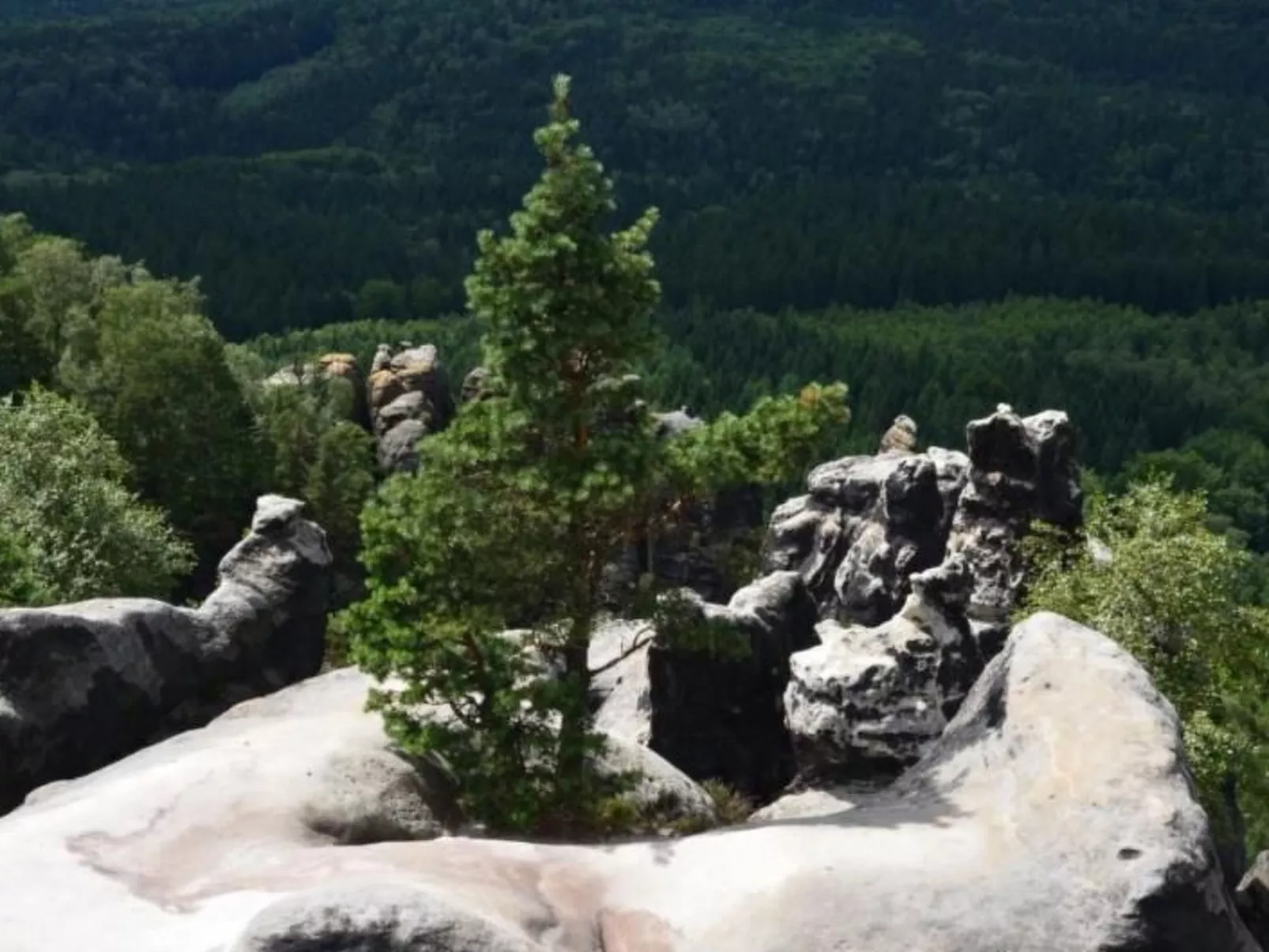 Haus am Stein Haus 1