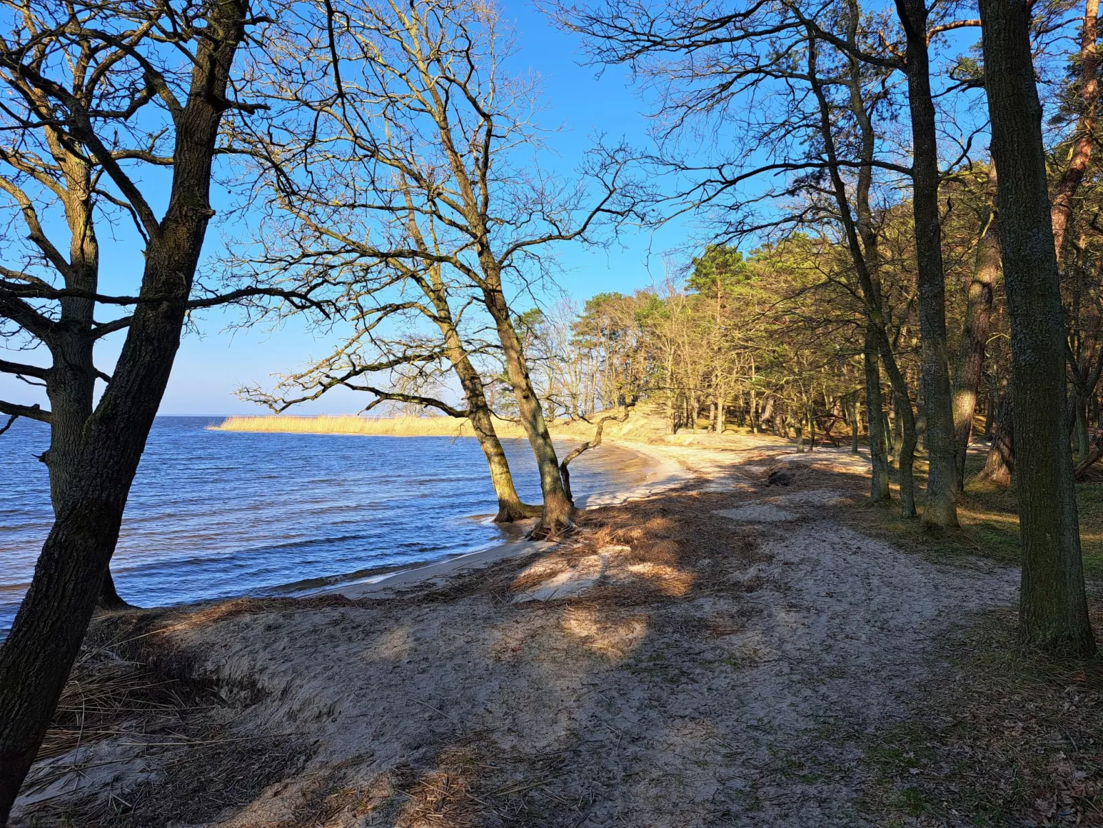 Mit Terrasse mitten im Grünen-Buiten