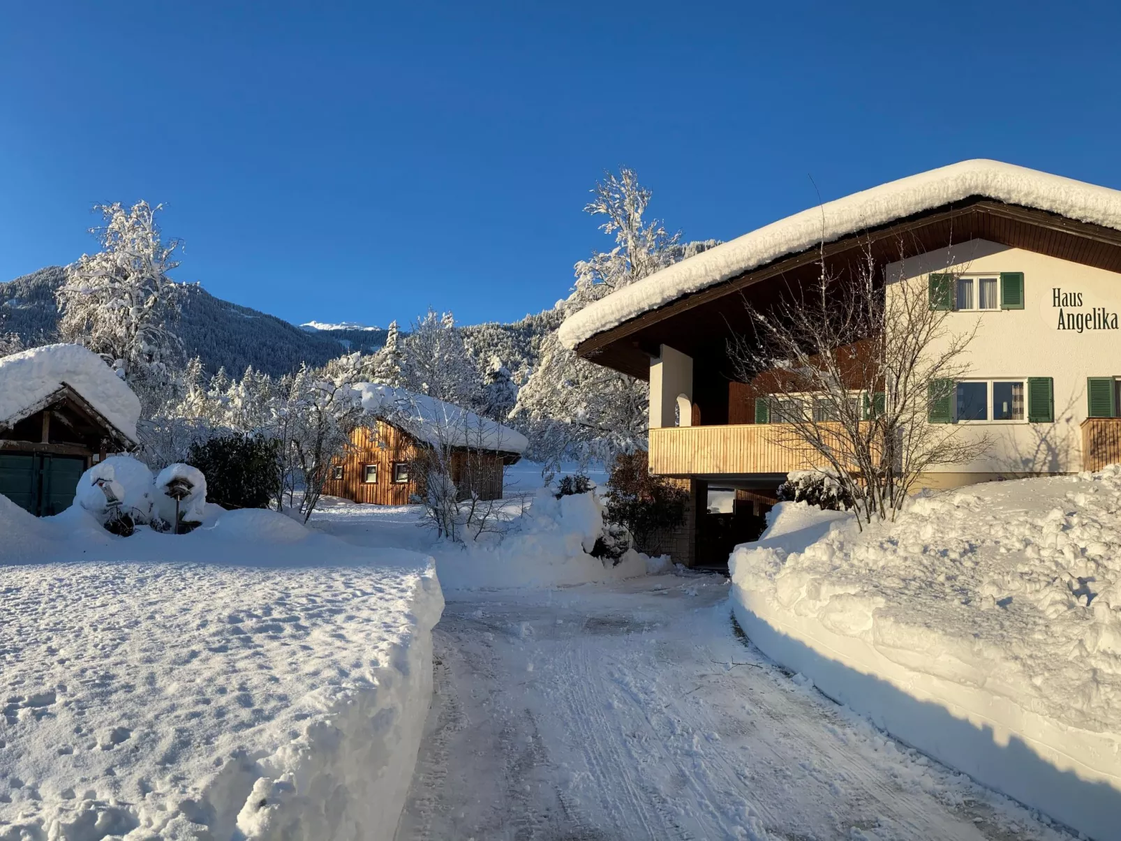 Wohnung in Vandans mit Offenem Kamin-Buiten