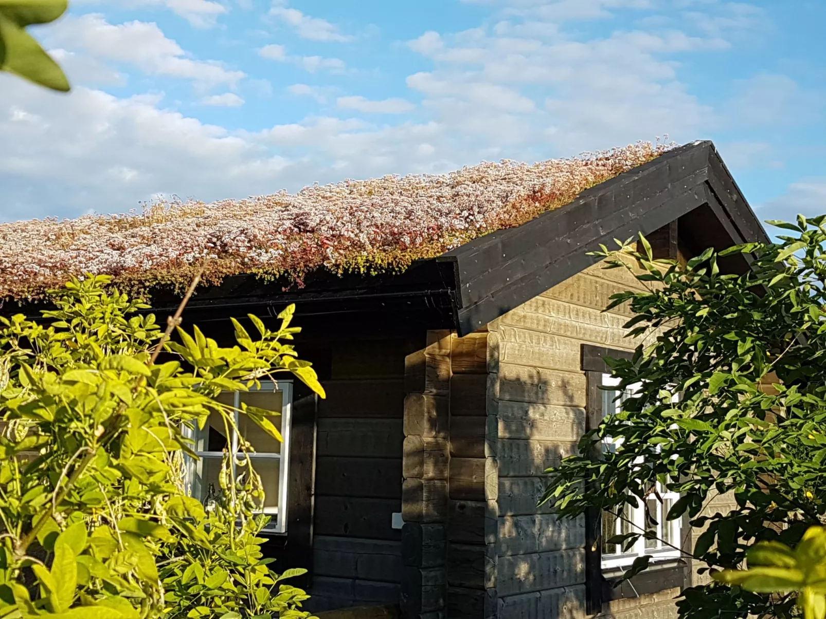 Sjötorpet - einzigartige Unterkunft am Meer