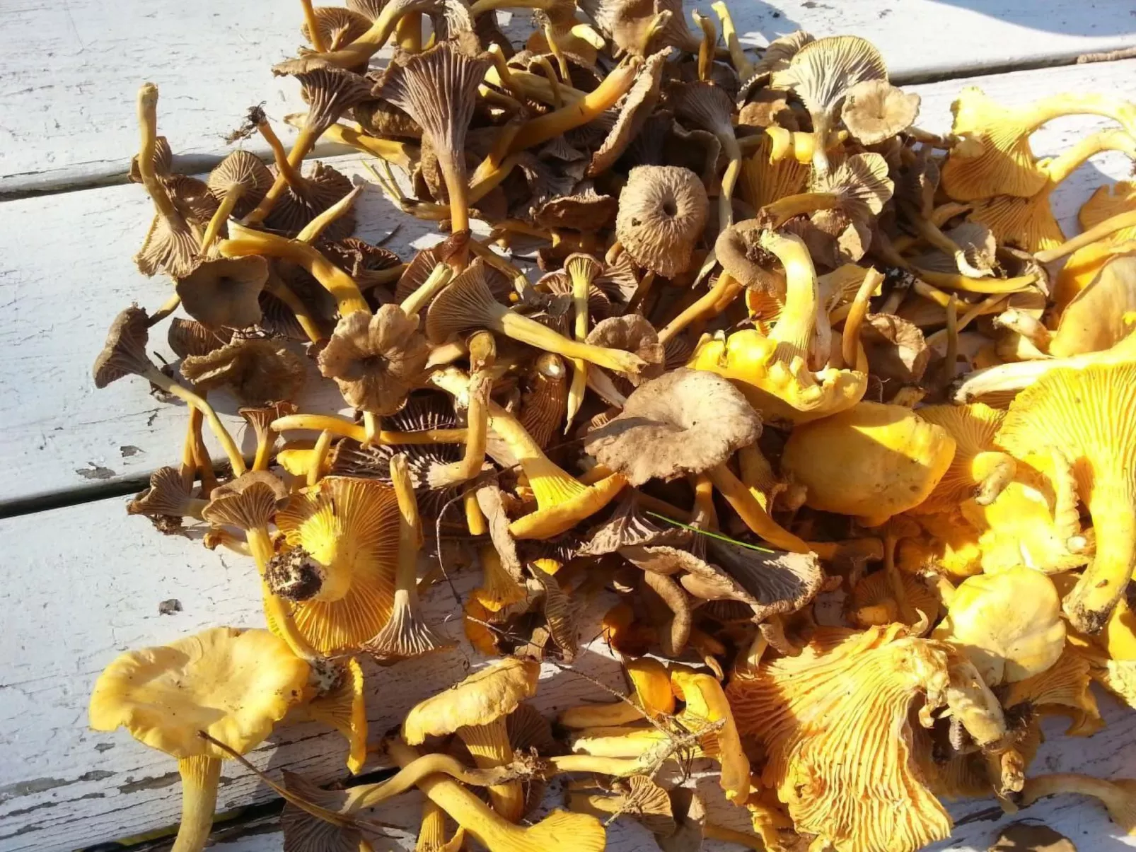 Niedliches Schwedenhaus.-Image-tags.info