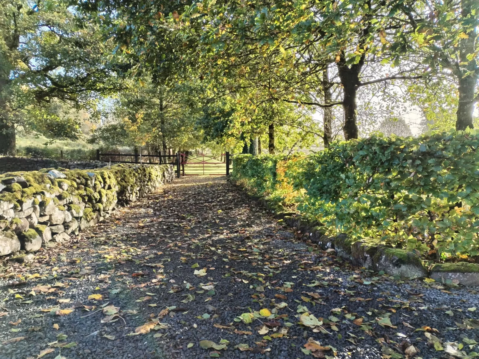 Cottage "James Tymon" mit Terrasse und Garten-Buiten