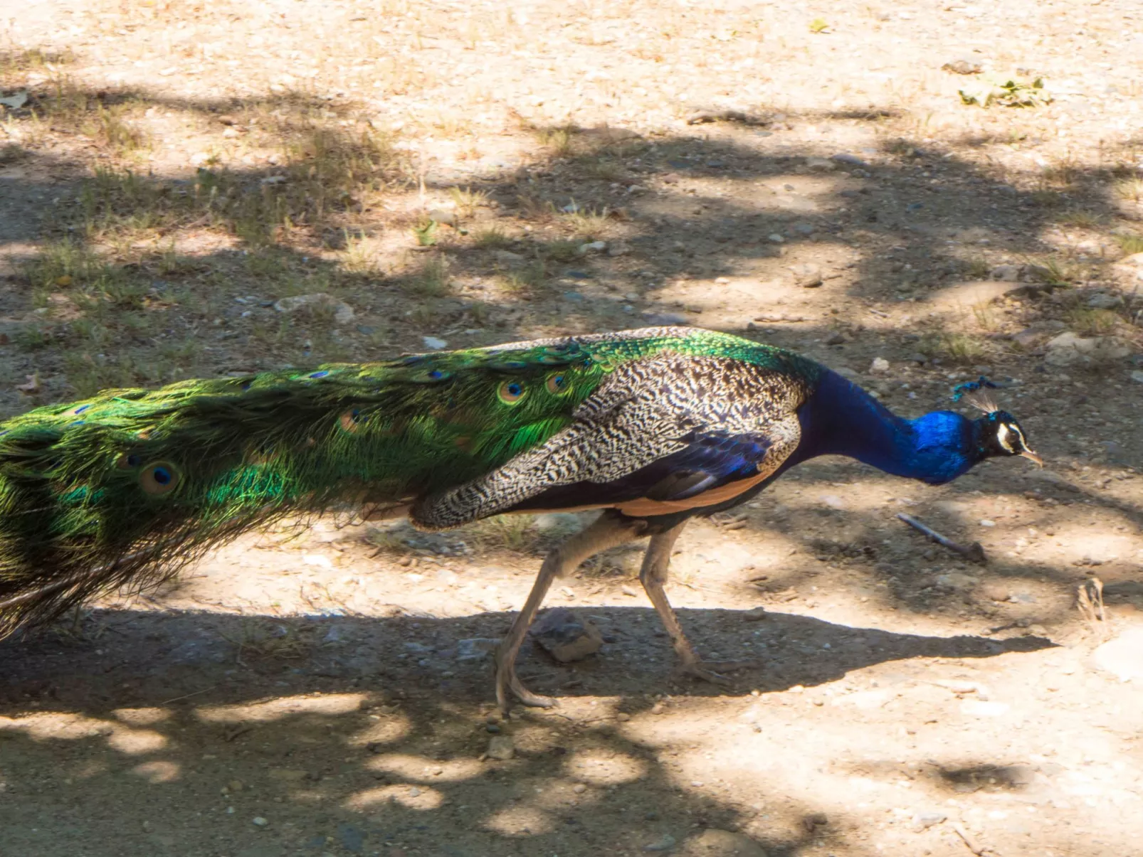 In Murviel-les-Béziers,-Buiten