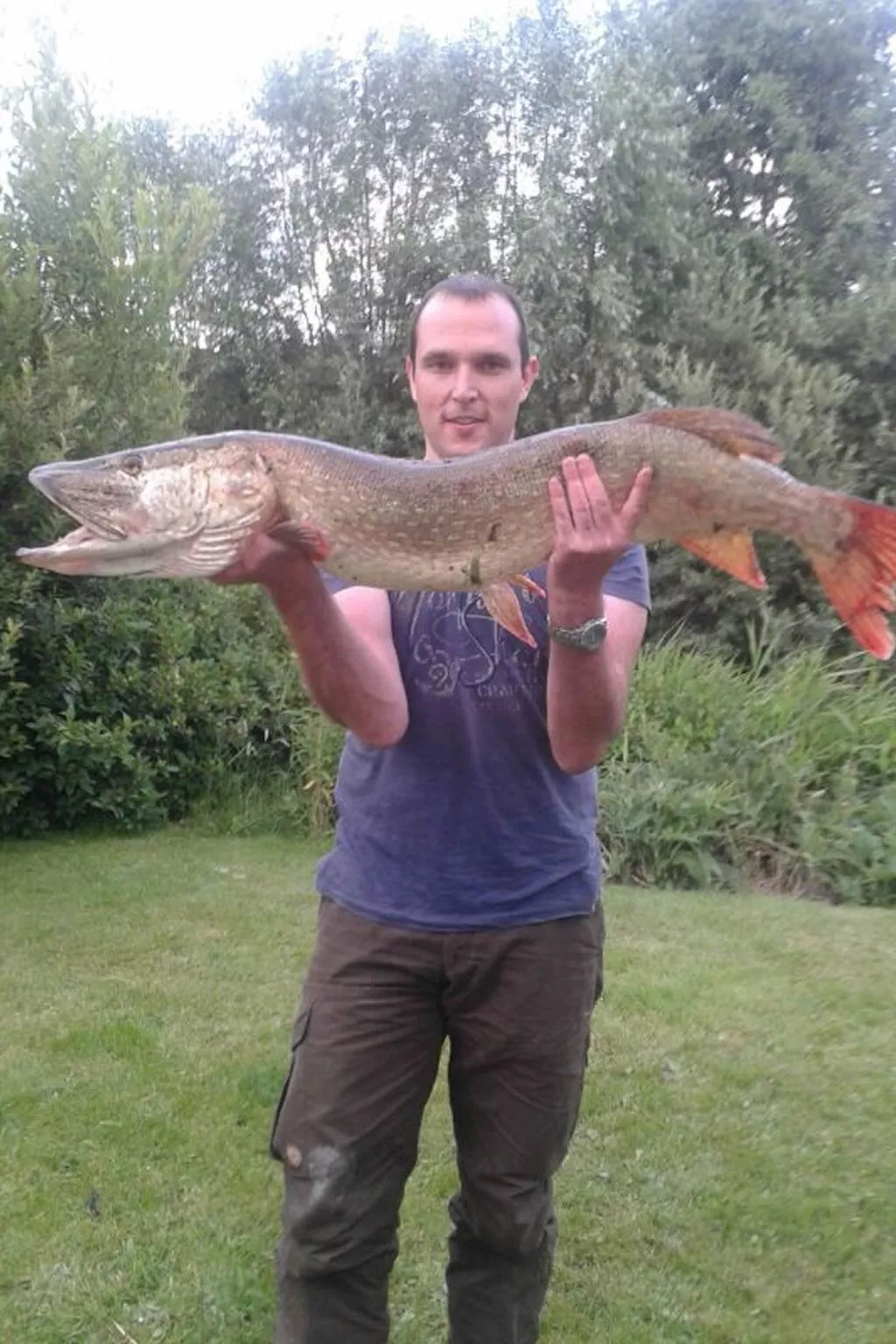 158 Schafssicht-Image-tags.info