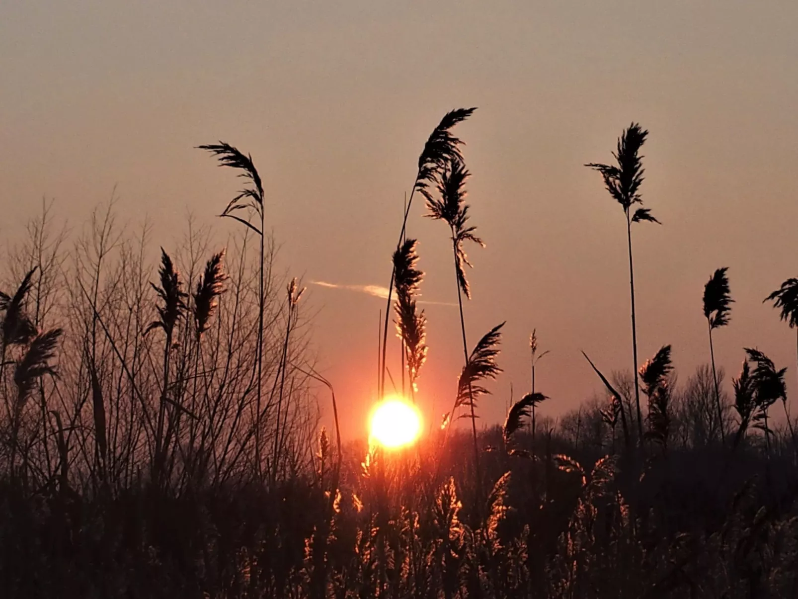 Moderne Ferienwohnung mit Balkon, nur 500 Meter von Meer und Strand entfernt-Image-tags.info