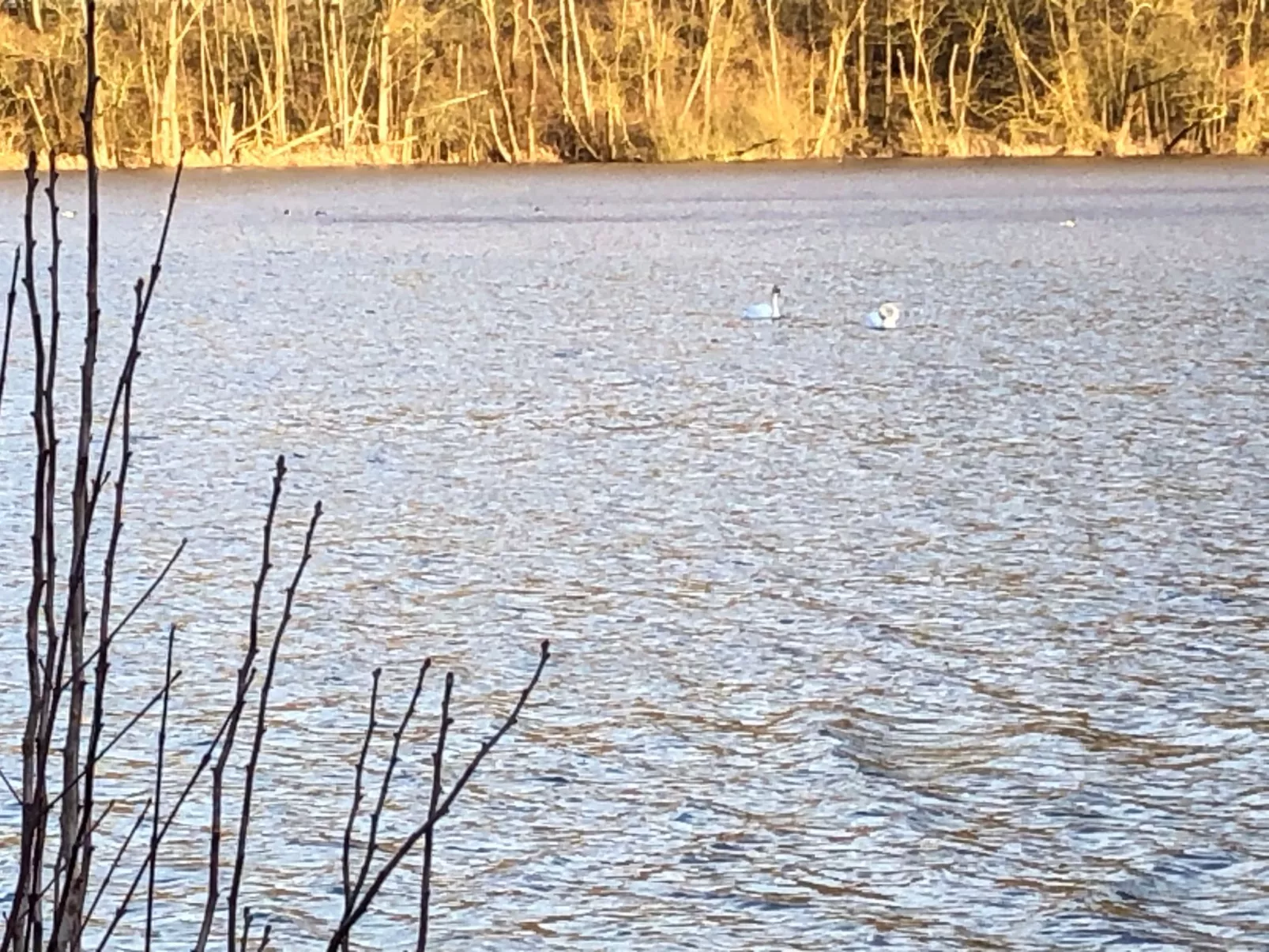 Wunderschönes Ferienhaus am Waldrand