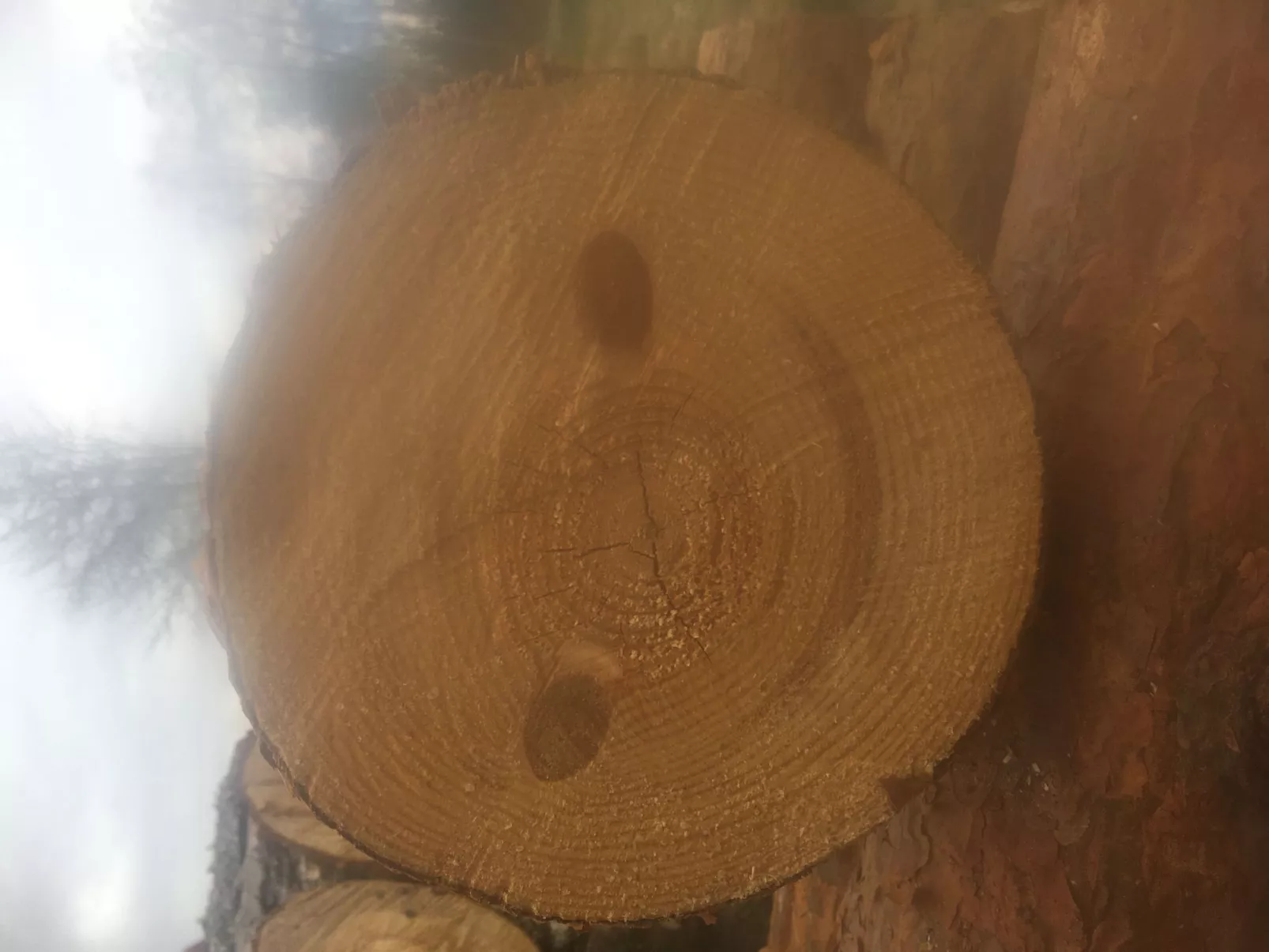 Haus mit toller Aussicht an einem schönen See-Buiten