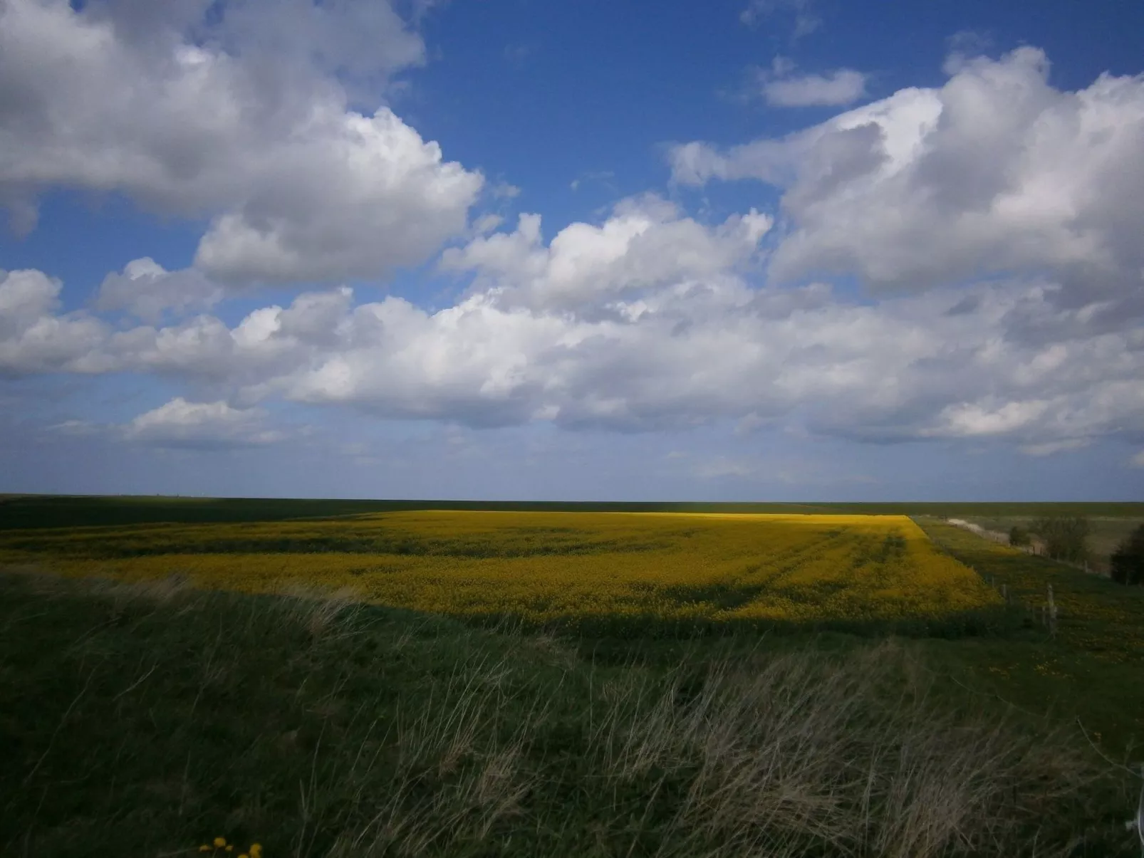 In kinderfreundlicher Ferienanlage
