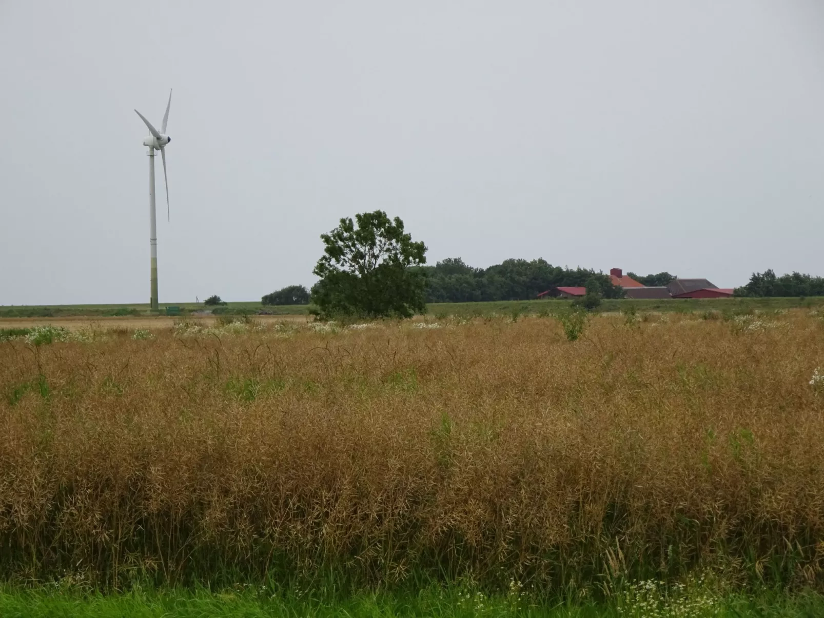 Komfortable Doppelhaushälfte und großem Garten