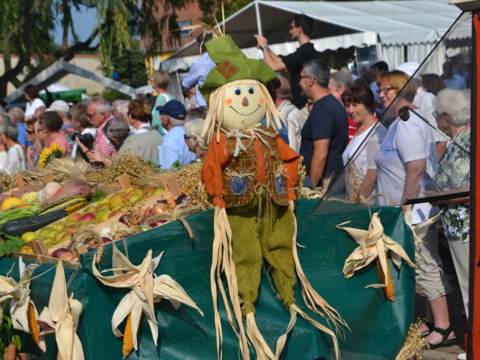Großzügige Ferienwohnung mit Terrasse-Buiten