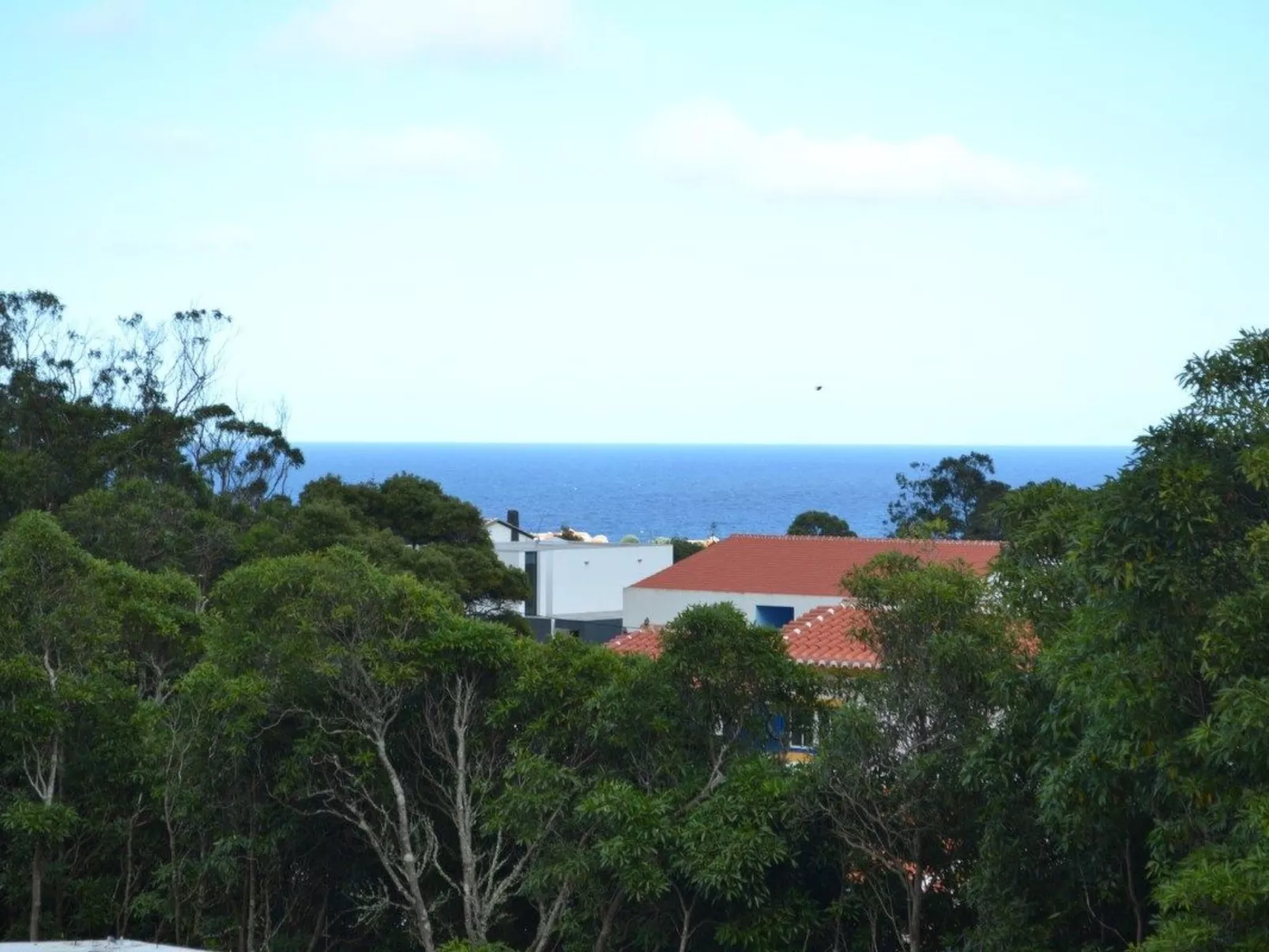 Das Haus der Weinkellerei-Image-tags.info