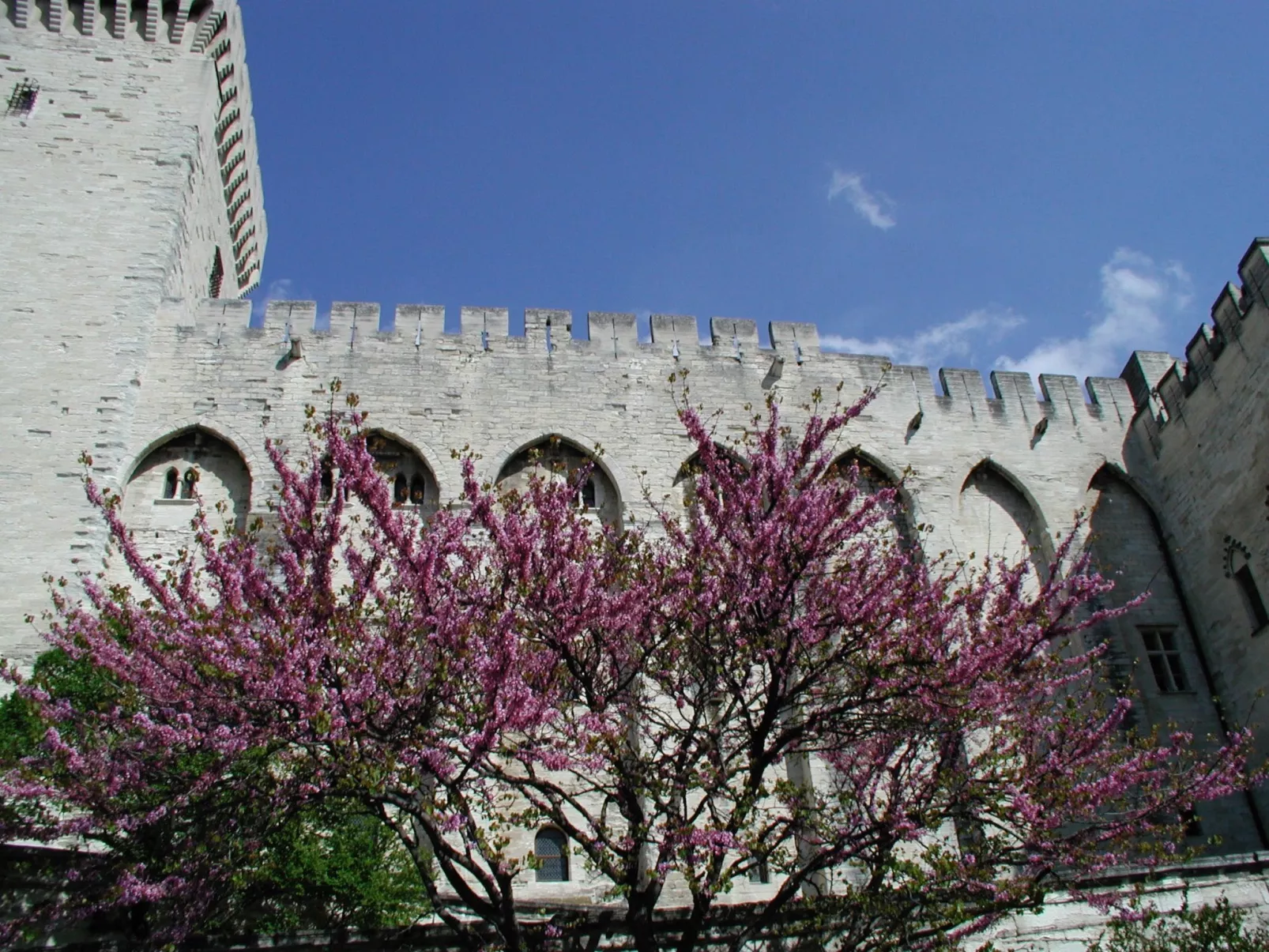 À l'abri du Mistral