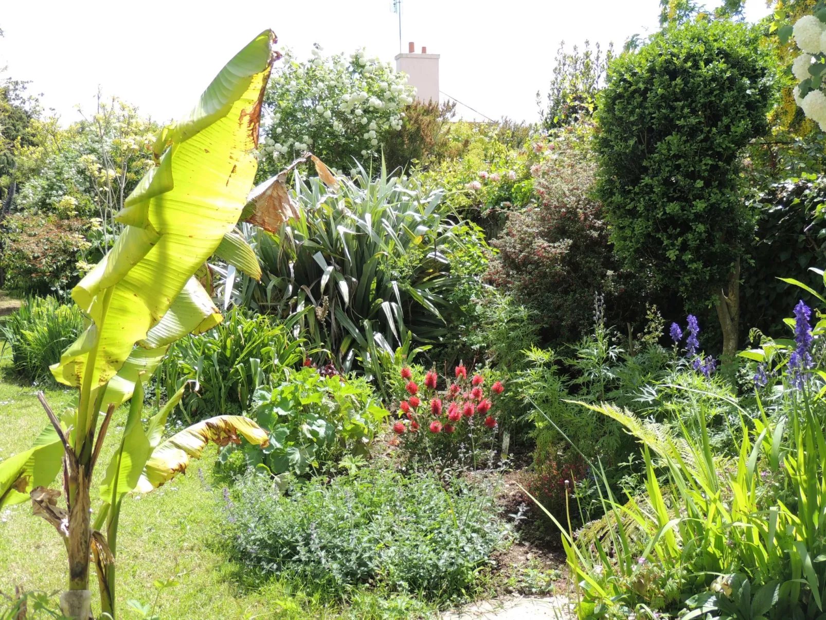 Großes Familienhaus mit schön angelegtem Garten-Buiten