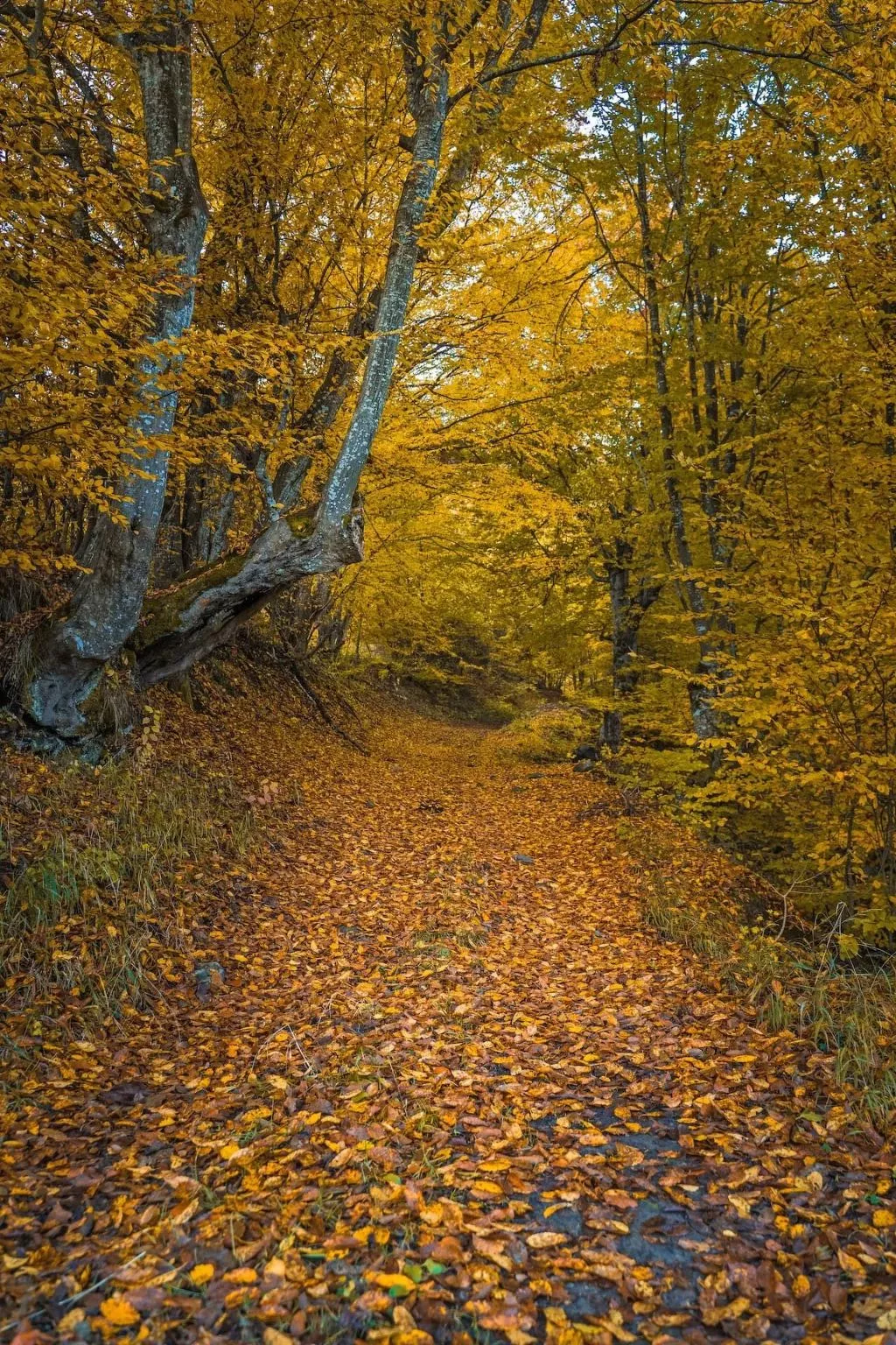 Authentisches Haus mit Bergblick - Karashka-Buiten