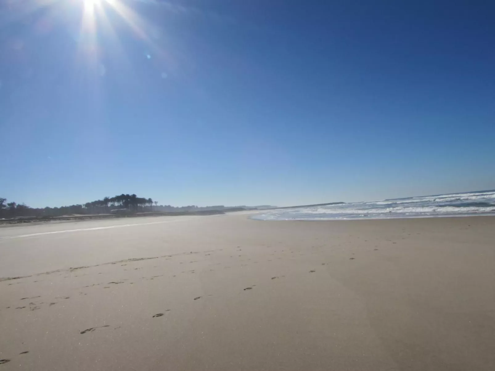 CASA  VERDE-Image-tags.info