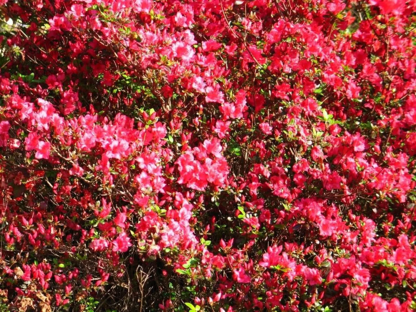 Villa "River Cottage" mit Blick auf das Wasser-Buiten