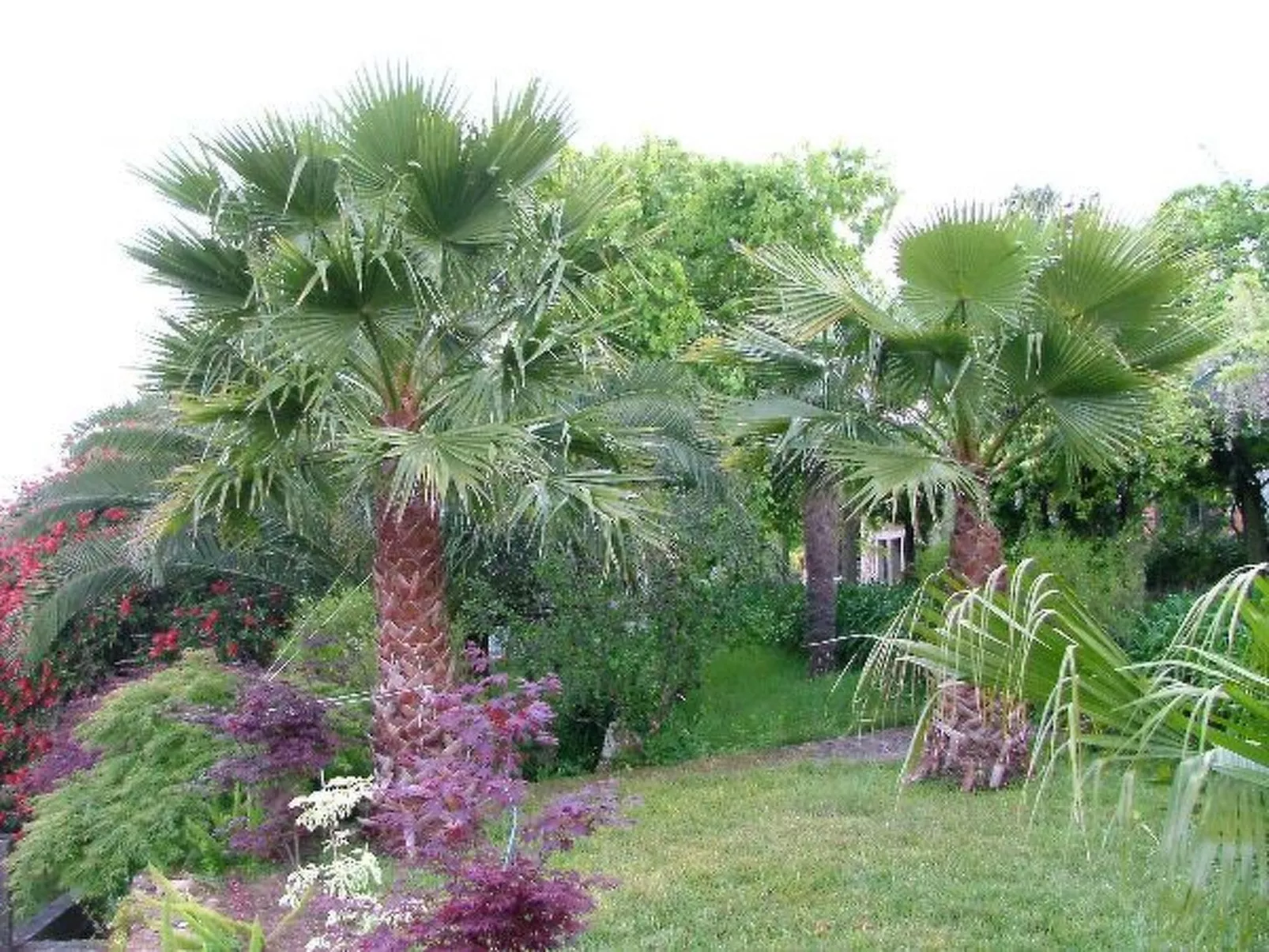 Finca "Quinta do Bento Novo"-Buiten