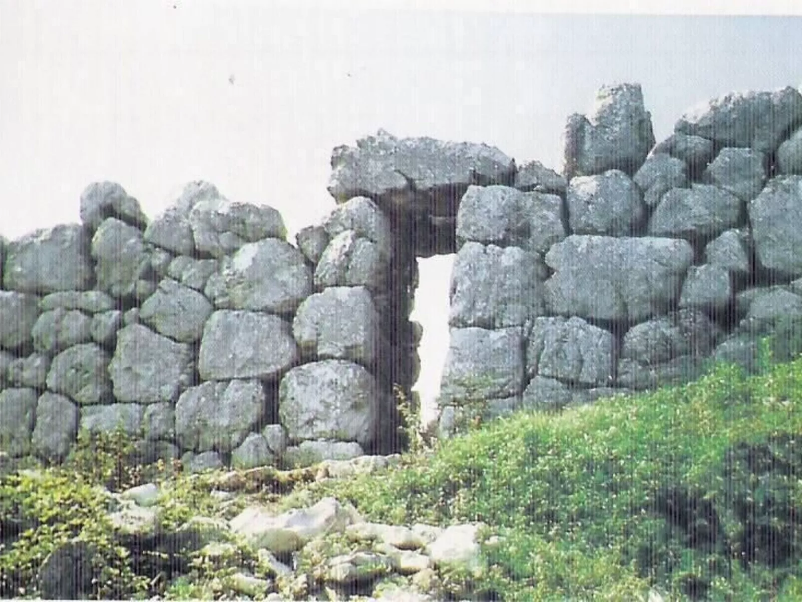 Das Maulbeerbaum-Apartment-Buiten