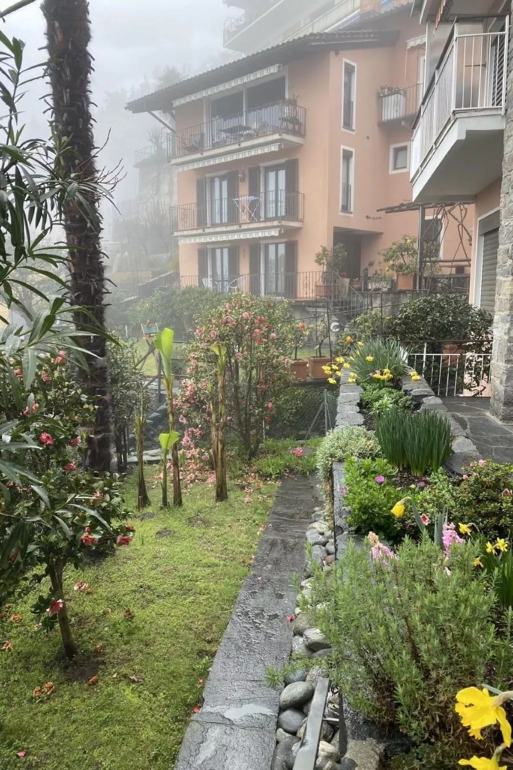 Panoramawohnung Orselina Locarno-Image-tags.info