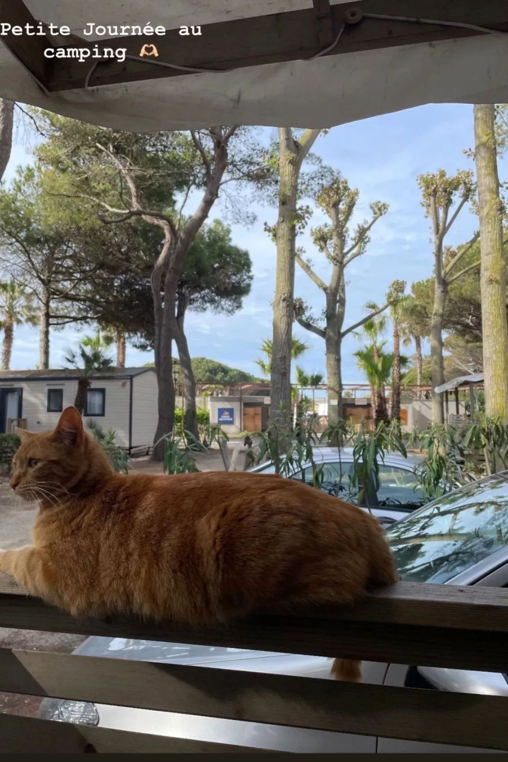 Mobilheim in idealer Lage in der Nähe aller Annehmlichkeiten