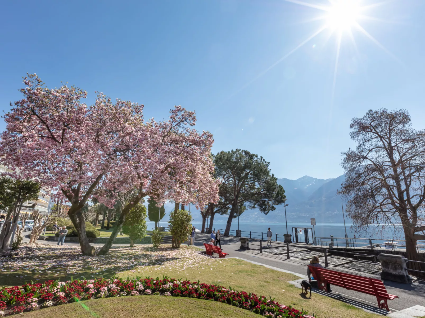 Ascona: Cà dal Dolz-Omgeving
