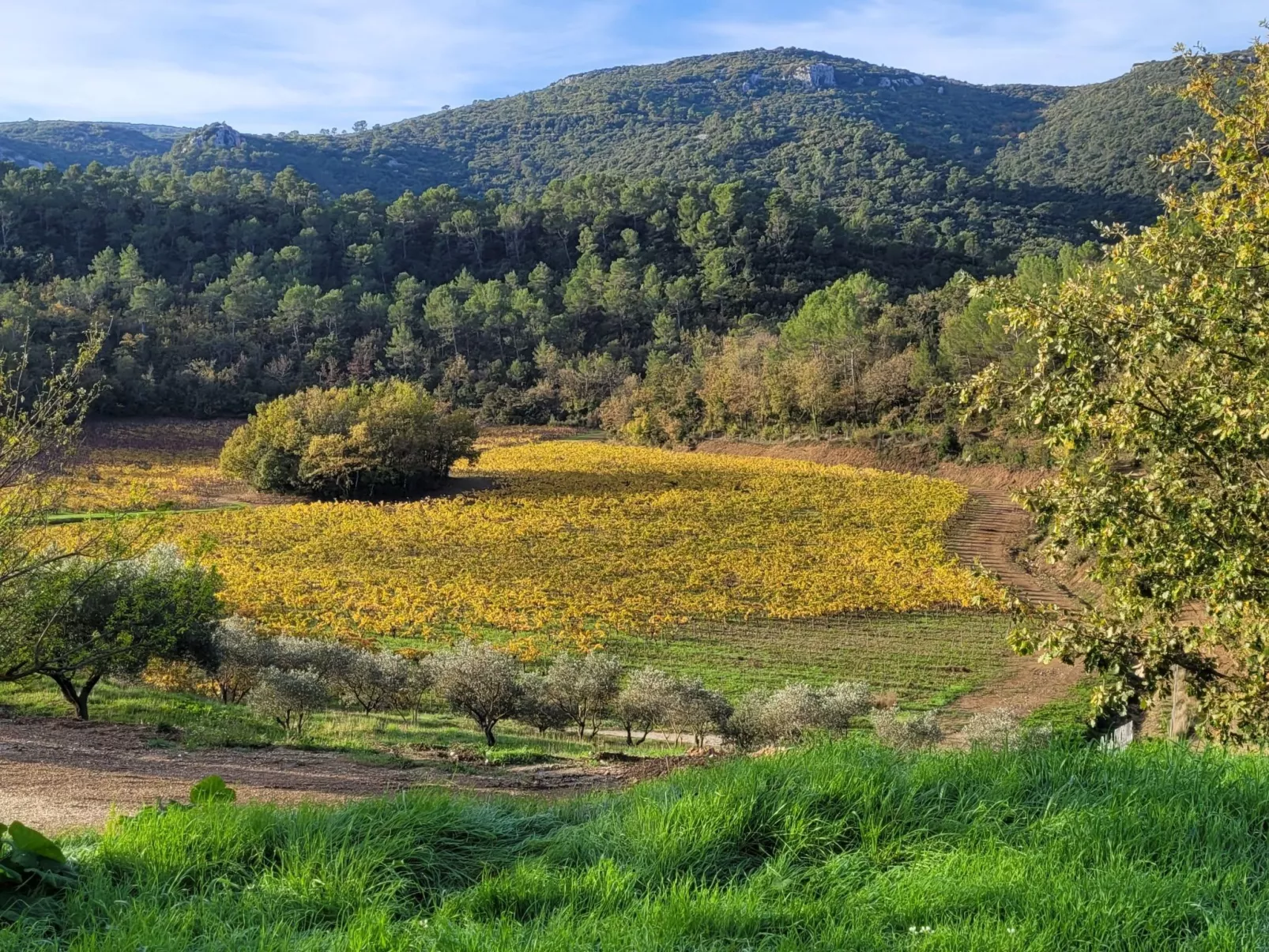 Wohnung in charmantem Haus auf Domäne-Buiten
