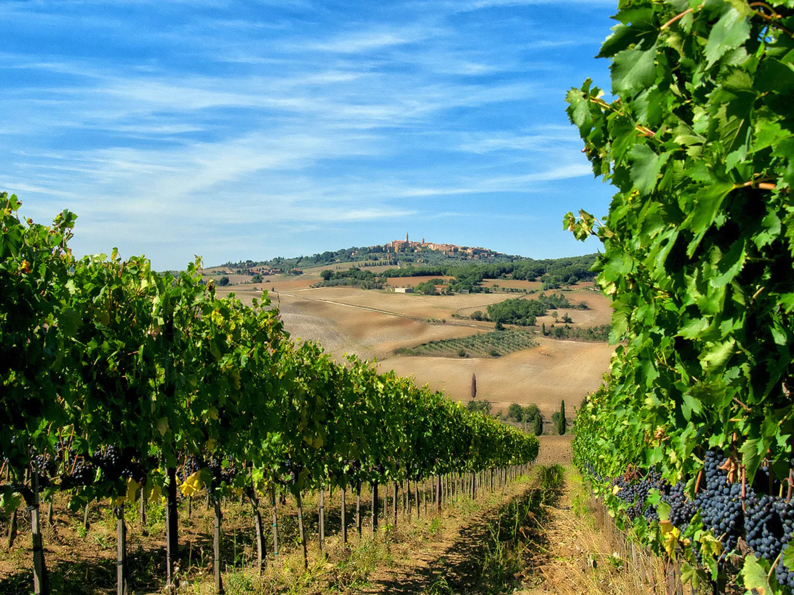 Tenuta "Podere Osteria"-Omgeving